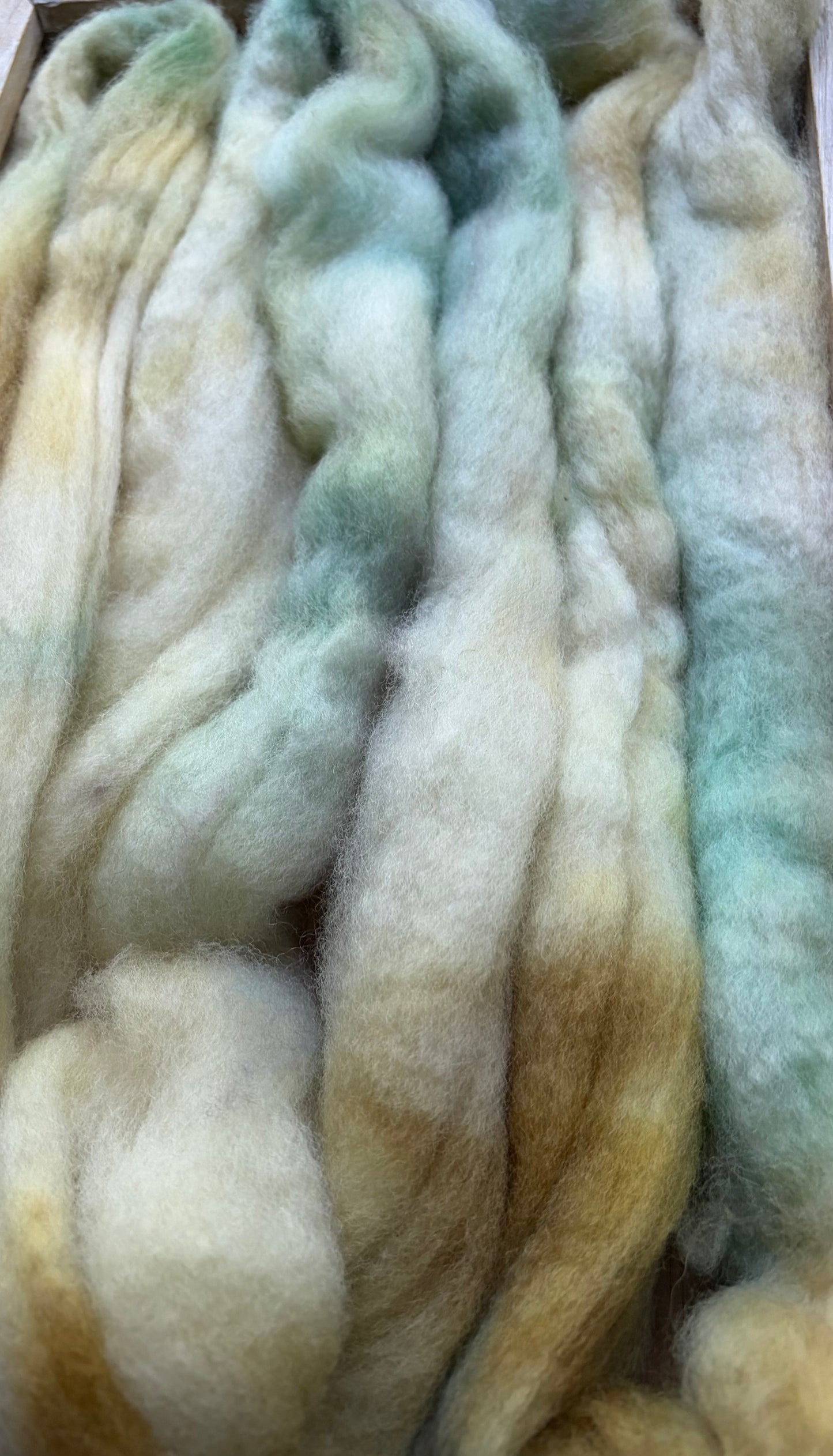 Bluefaced Leicester Wool - 26 Micron - One of a Kind Batch - 100 grams of Spinning Fibre - Hand Dyed Combed Top