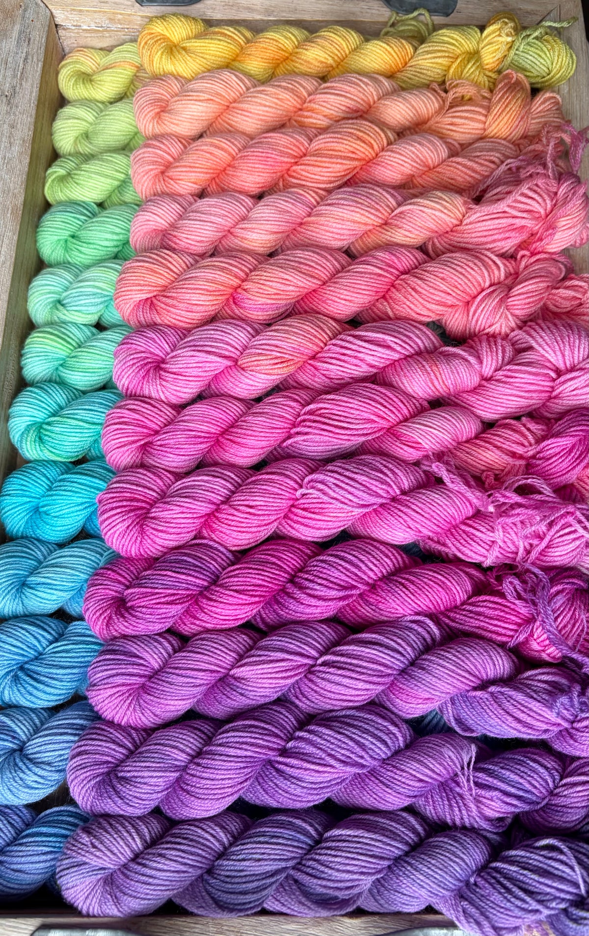 24 Skein Mini Yarn Fade - Squishy Sock Base
