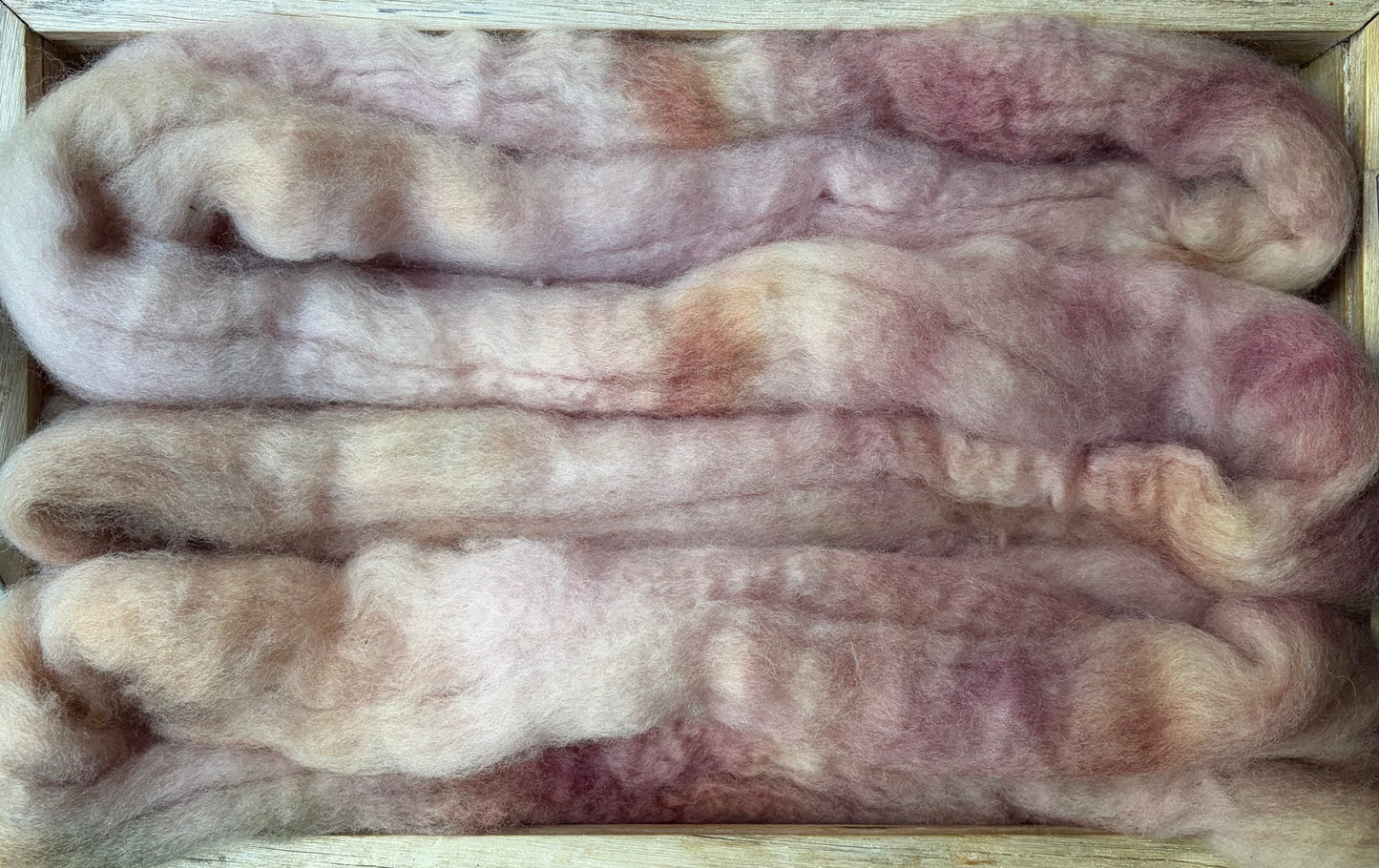 Bluefaced Leicester Wool - 26 Micron - One of a Kind Batch - 100 grams of Spinning Fibre - Hand Dyed Combed Top