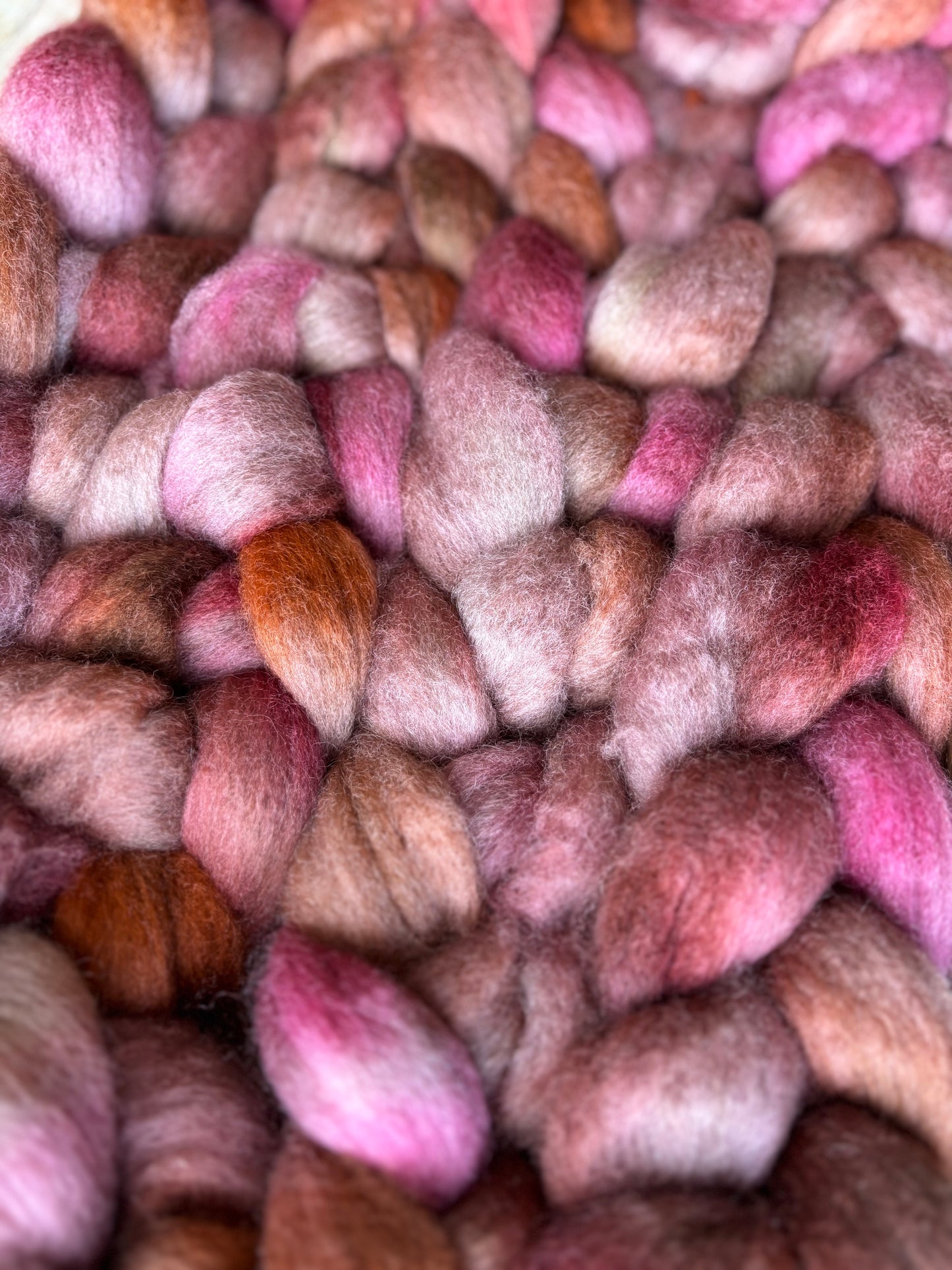 One of a Kind Batch - 100 grams of Spinning Fibre - Bluefaced Leicester Wool - 26 Micron - Hand Dyed Combed Top