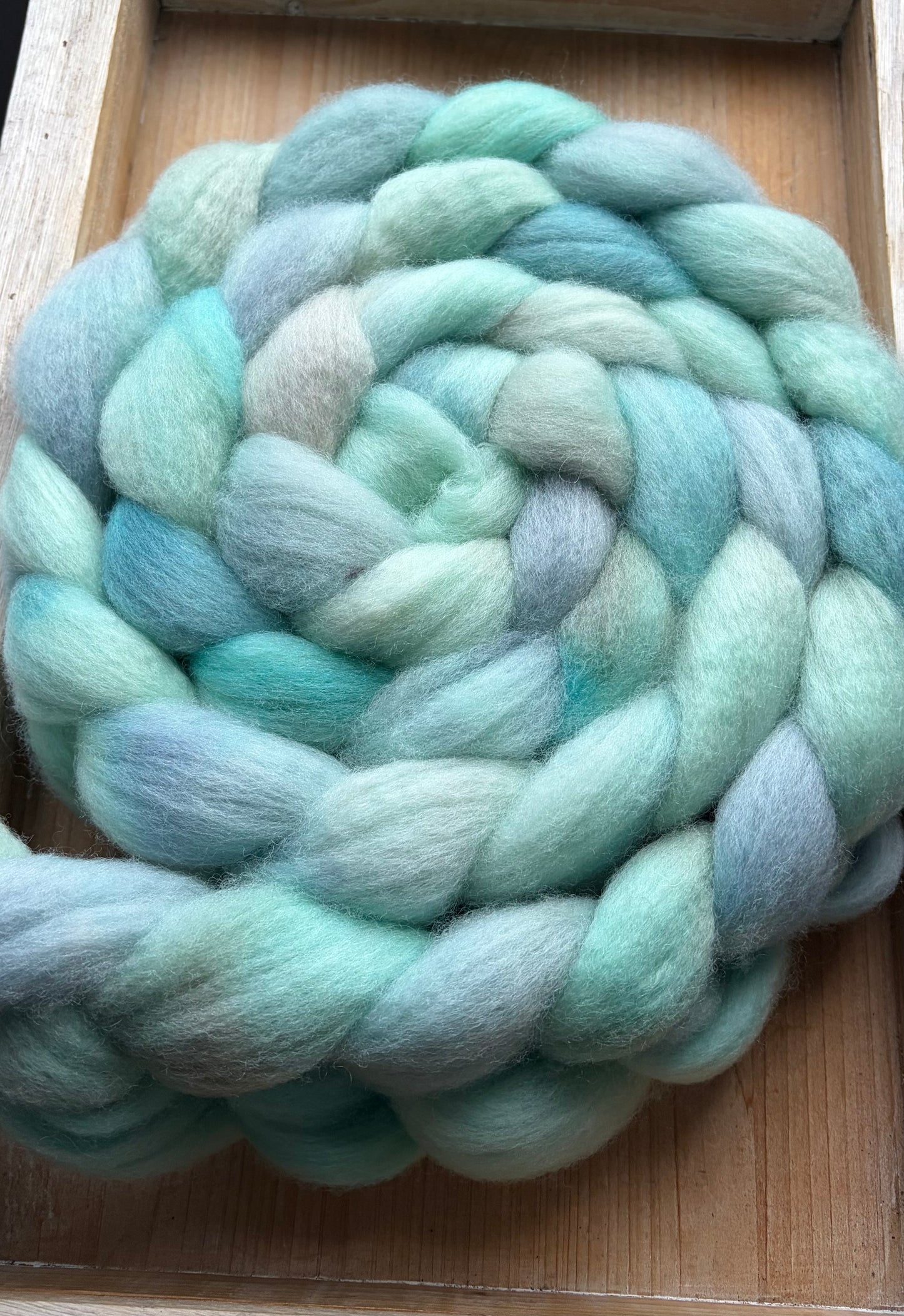 Bluefaced Leicester Wool - 26 Micron - One of a Kind Batch - 100 grams of Spinning Fibre - Hand Dyed Combed Top