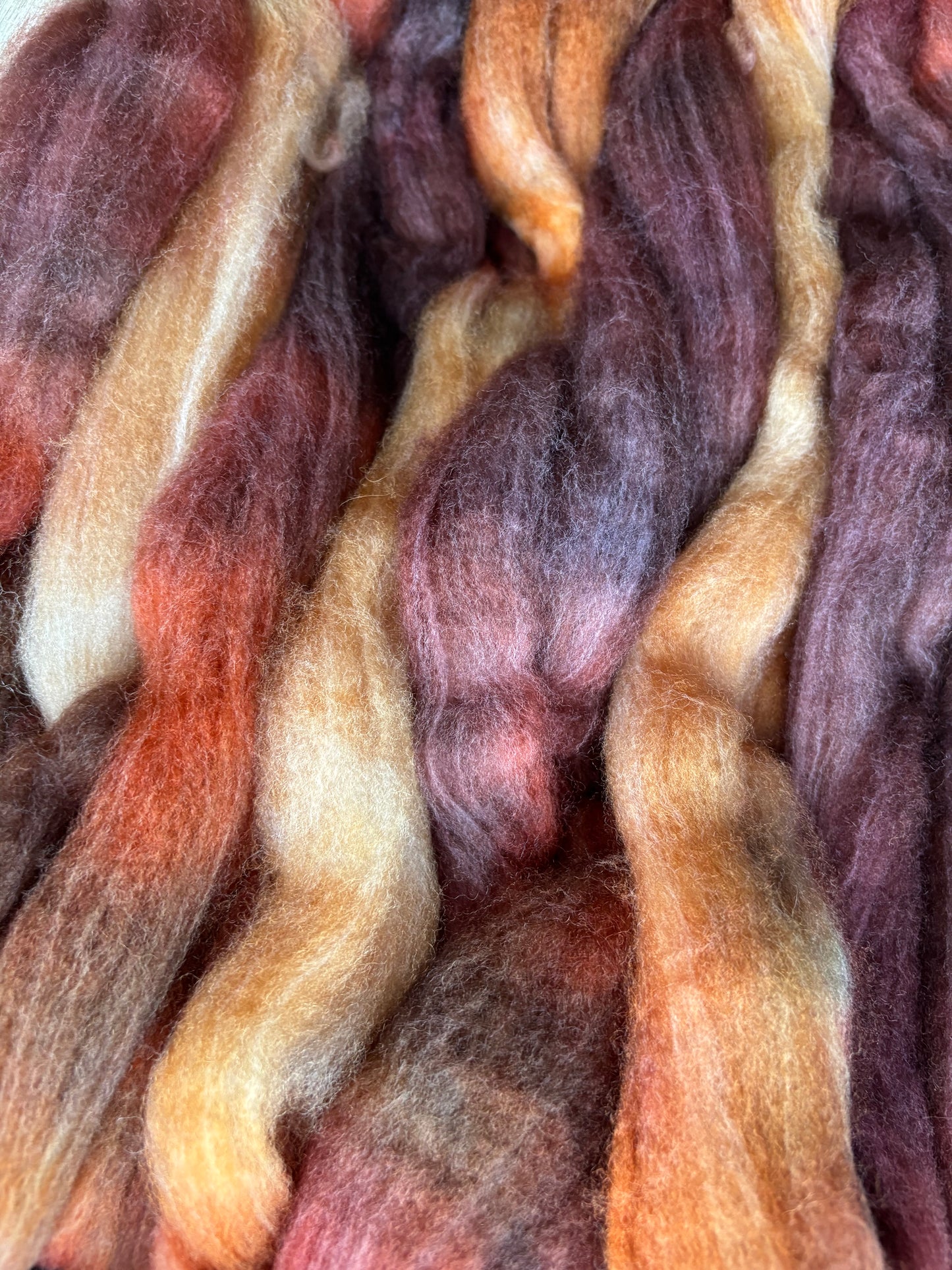 One of a Kind Batch - 100 grams of Spinning Fibre - 80% Superwash Merino Wool/ 20% Nylon - 22.5 Micron - Hand Dyed Combed Top