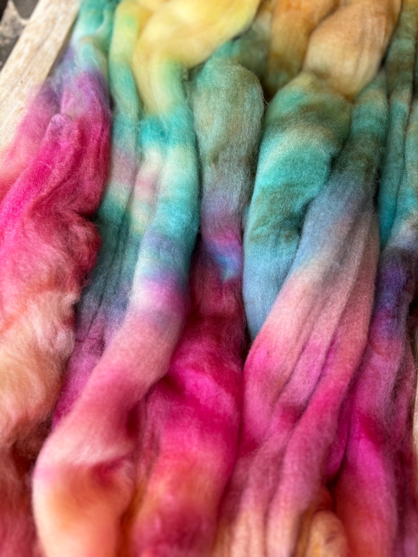 Frolic - 100 grams of Spinning Fibre