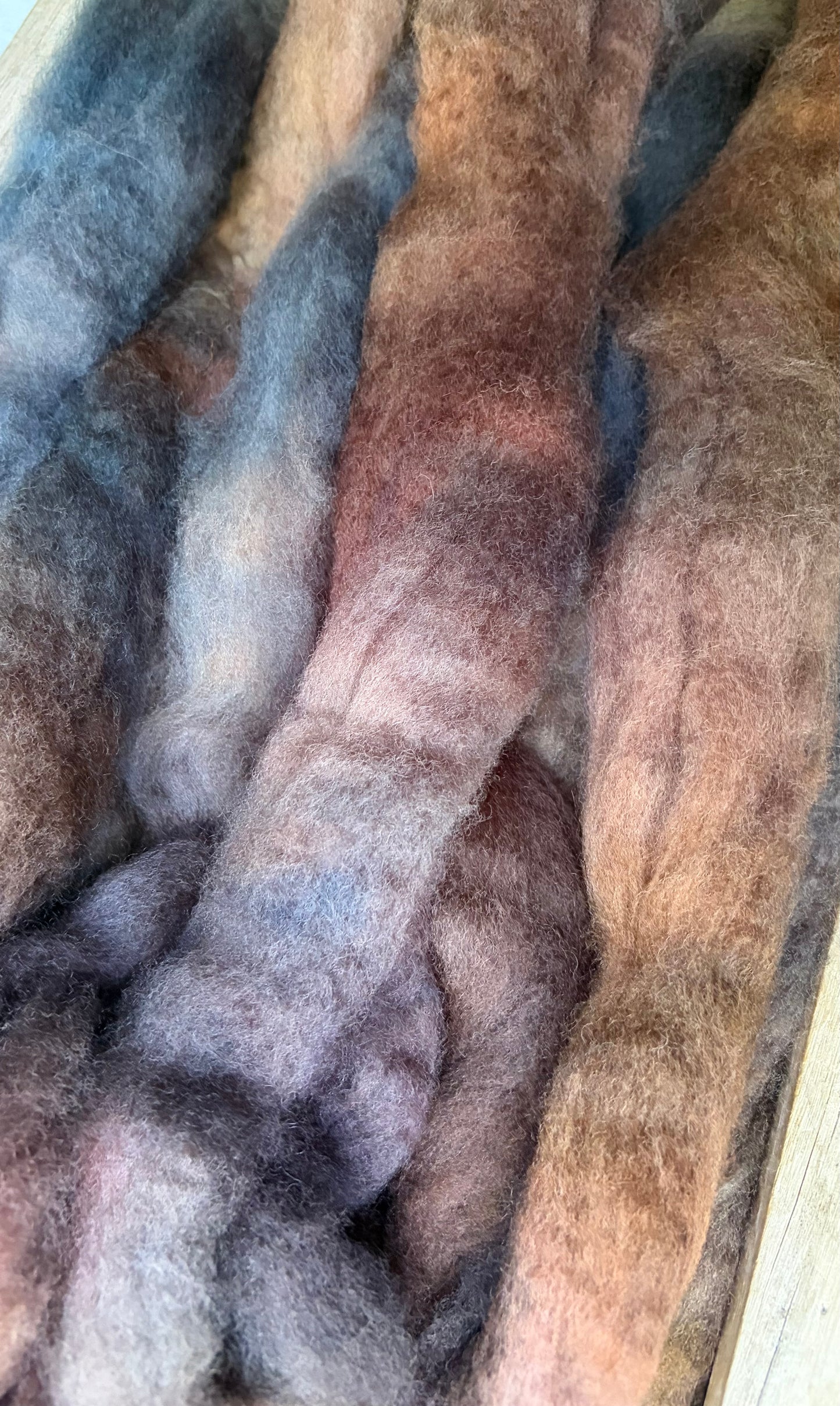 Bluefaced Leicester Wool - 26 Micron - One of a Kind Batch - 100 grams of Spinning Fibre - Hand Dyed Combed Top