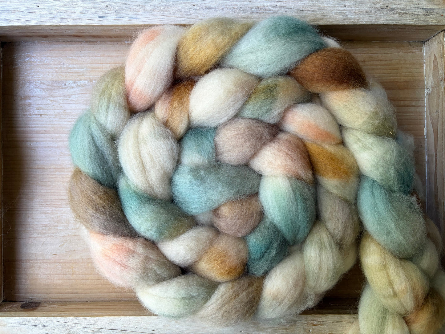 Bluefaced Leicester Wool - 26 Micron - One of a Kind Batch - 100 grams of Spinning Fibre - Hand Dyed Combed Top