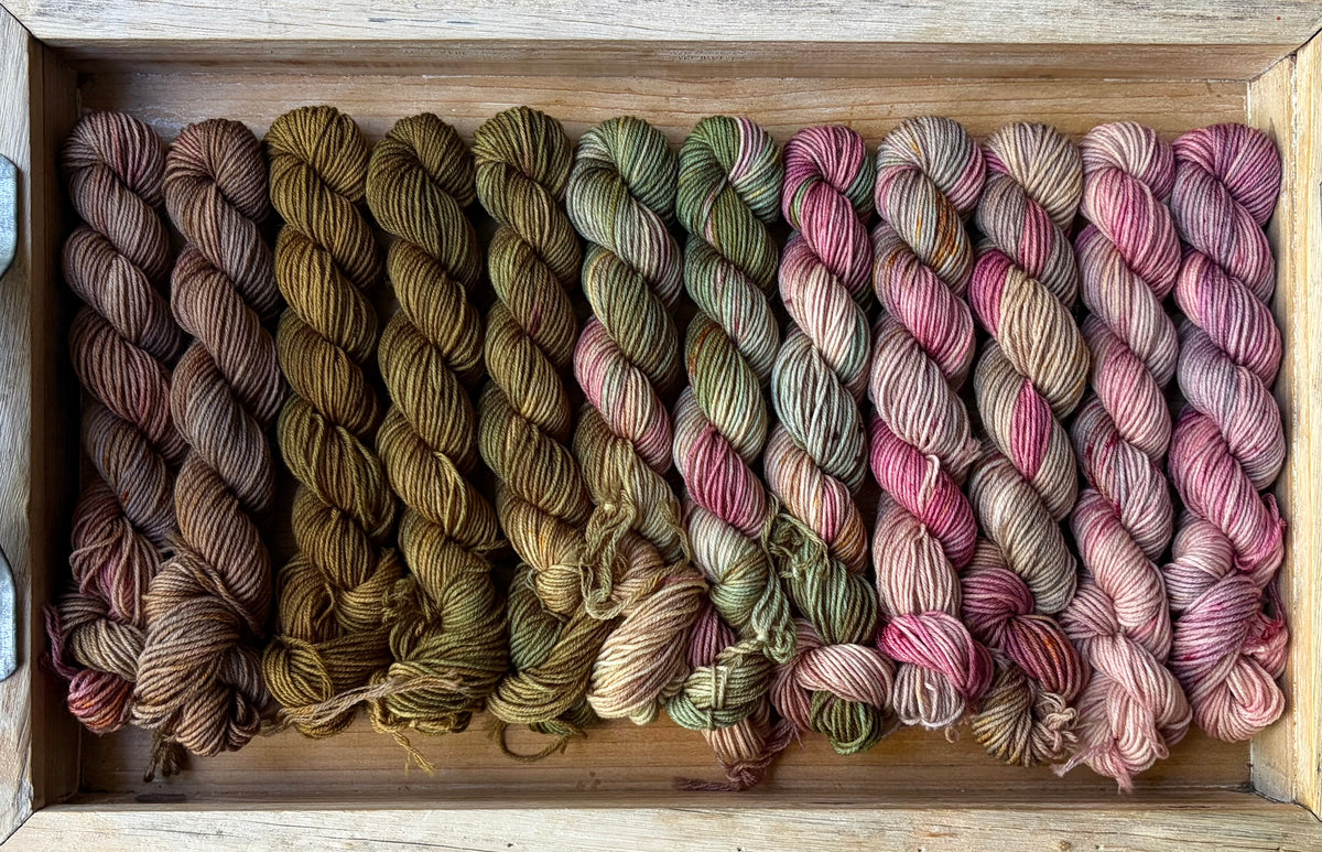 24 Skein Mini Yarn Fade - Squishy Sock Base