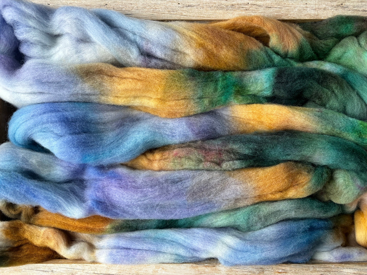 One of a Kind Batch - 100 grams of Spinning Fibre - 100% Targhee - 23 Micron - Hand Dyed Combed Top