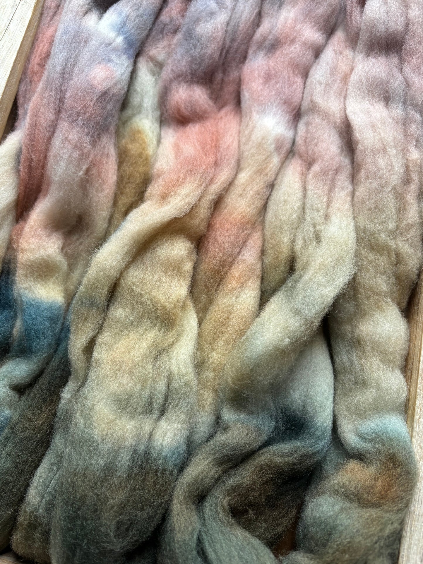 One of a Kind Batch - 100 grams of Spinning Fibre - 100% Targhee - 23 Micron - Hand Dyed Combed Top