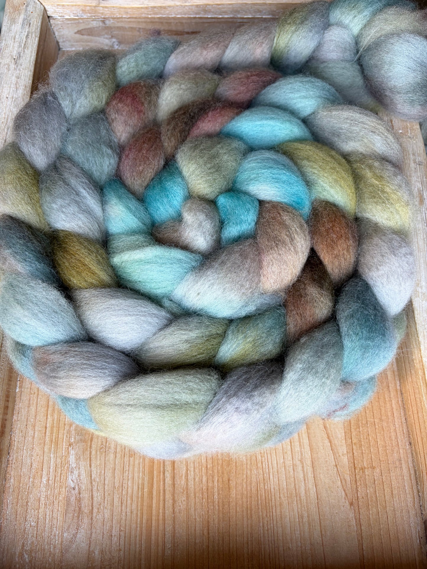 Bluefaced Leicester Wool - 26 Micron - One of a Kind Batch - 100 grams of Spinning Fibre - Hand Dyed Combed Top