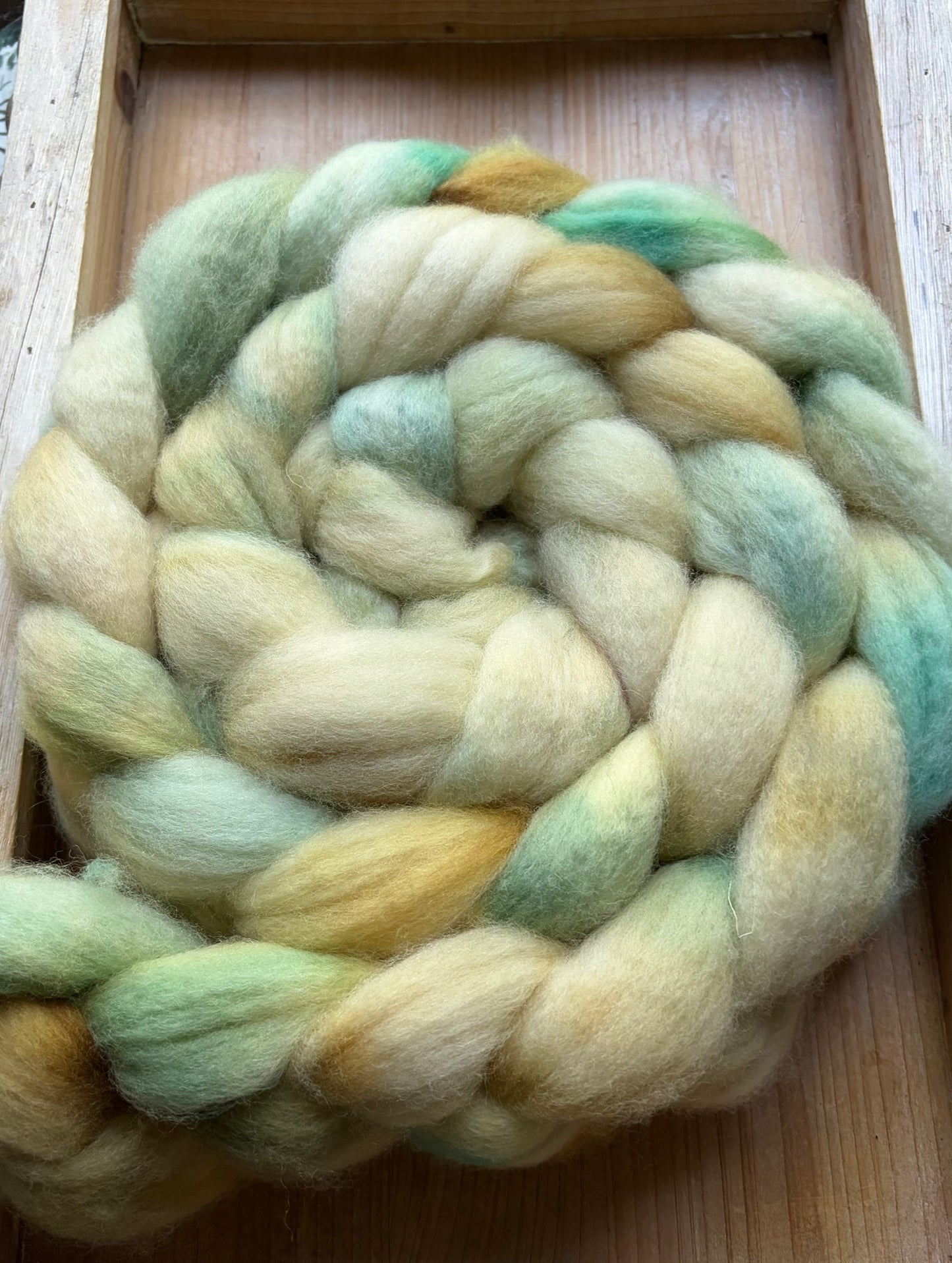 Bluefaced Leicester Wool - 26 Micron - One of a Kind Batch - 100 grams of Spinning Fibre - Hand Dyed Combed Top