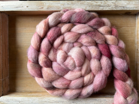 One of a Kind Batch - 100 grams of Spinning Fibre - Bluefaced Leicester Wool - 26 Micron - Hand Dyed Combed Top