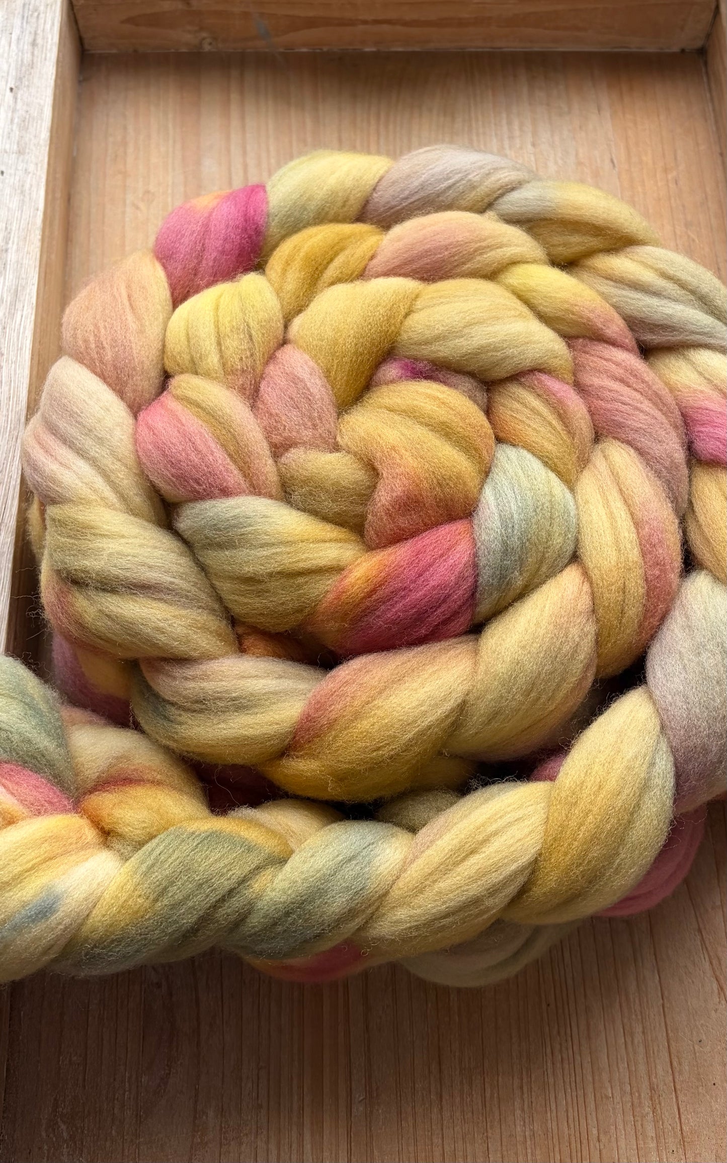 Targhee - 23 Micron - One of a Kind Batch - 100 grams of Spinning Fibre - Hand Dyed Combed Top