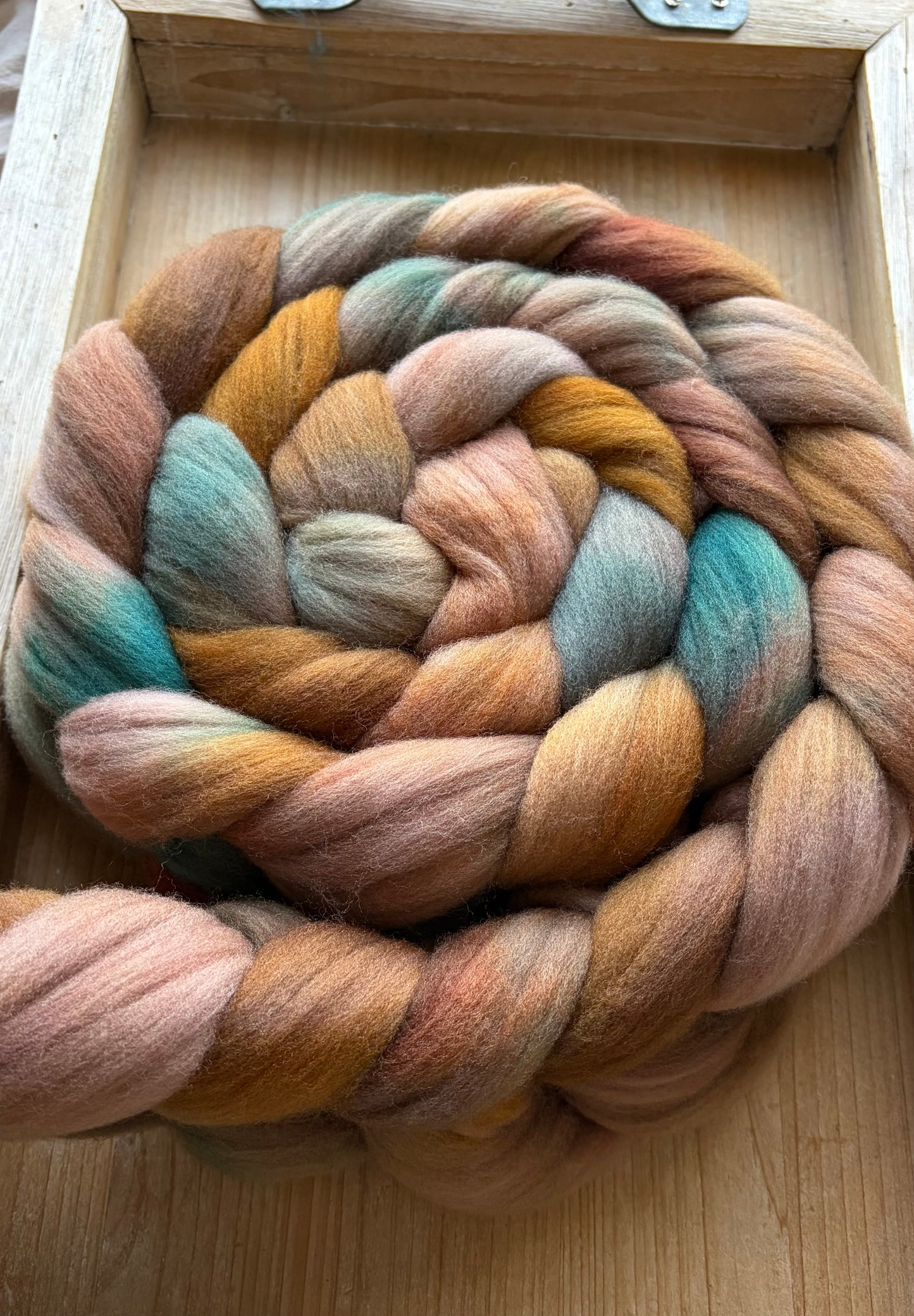 Targhee - 23 Micron - One of a Kind Batch - 100 grams of Spinning Fibre - Hand Dyed Combed Top