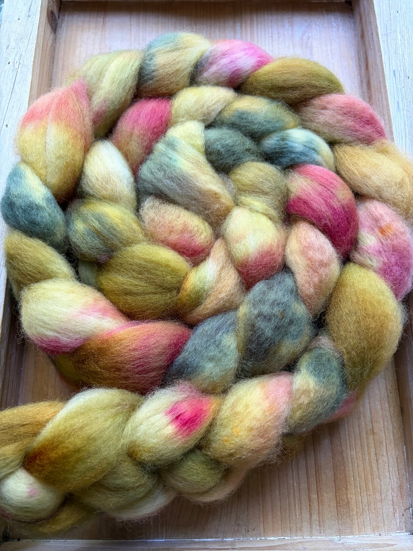 Bluefaced Leicester Wool - 26 Micron - One of a Kind Batch - 100 grams of Spinning Fibre - Hand Dyed Combed Top