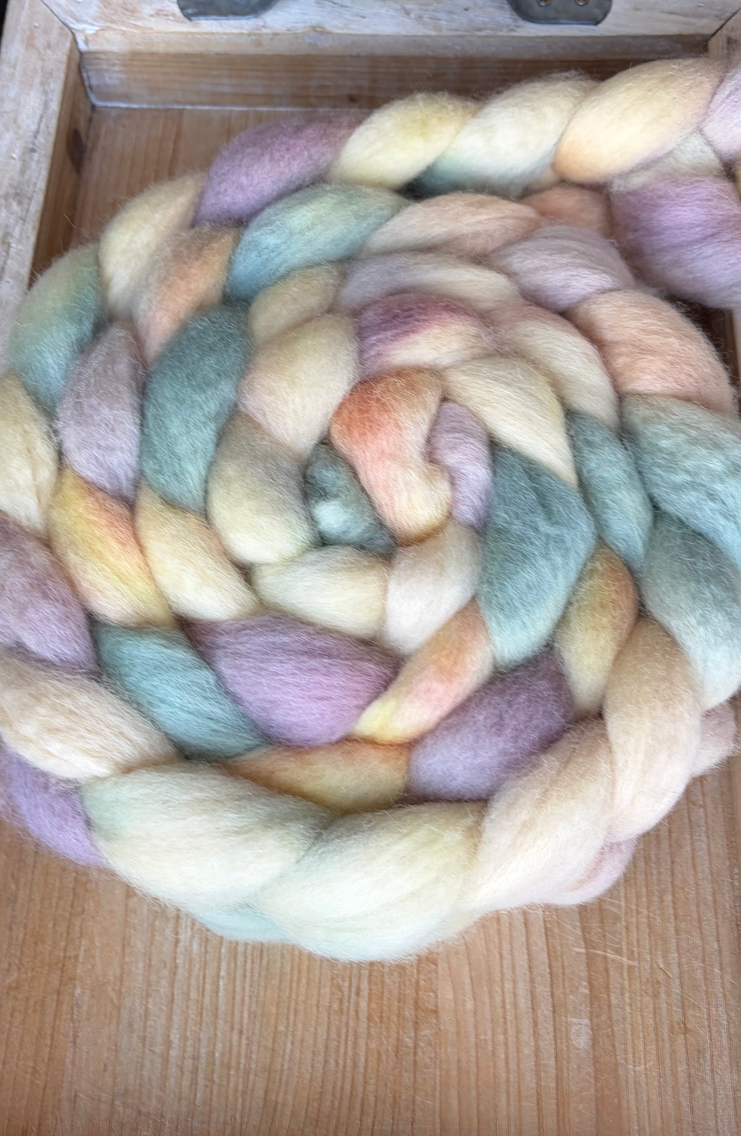 Bluefaced Leicester Wool - 26 Micron - One of a Kind Batch - 100 grams of Spinning Fibre - Hand Dyed Combed Top