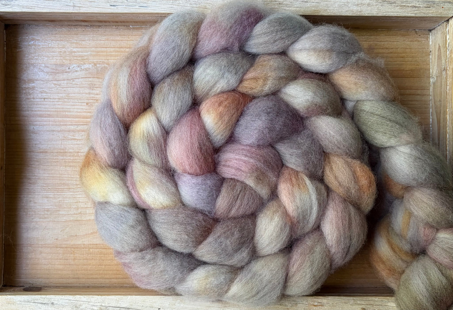 Bluefaced Leicester Wool - 26 Micron - One of a Kind Batch - 100 grams of Spinning Fibre - Hand Dyed Combed Top