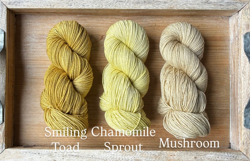 Chamomile Sprout