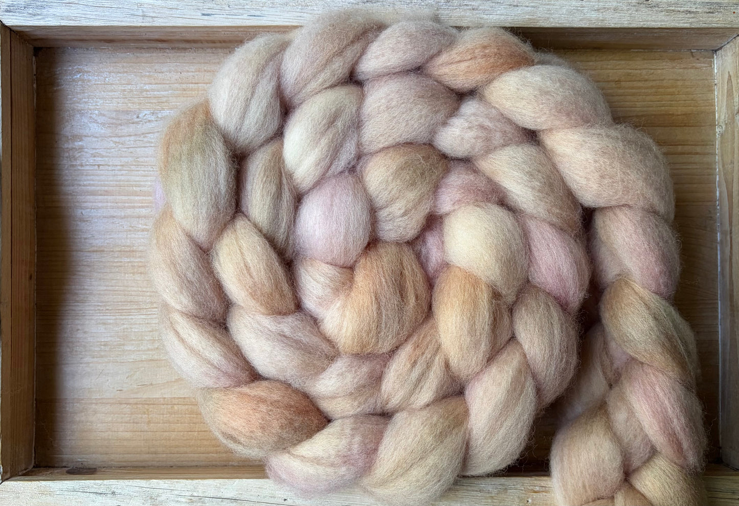 Bluefaced Leicester Wool - 26 Micron - One of a Kind Batch - 100 grams of Spinning Fibre - Hand Dyed Combed Top