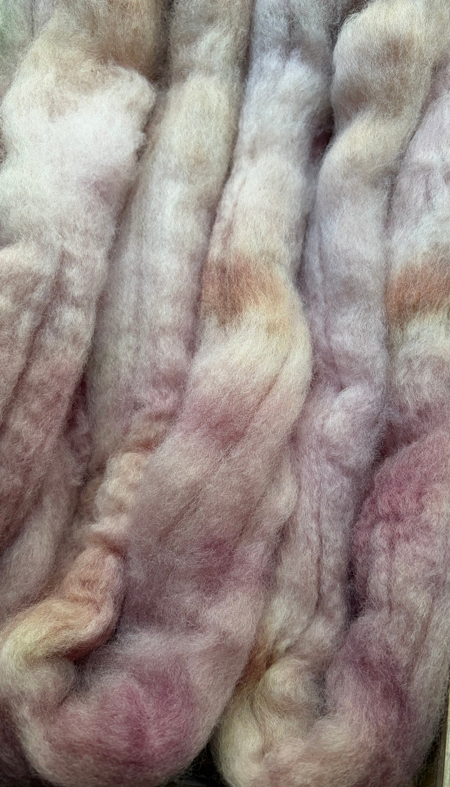 Bluefaced Leicester Wool - 26 Micron - One of a Kind Batch - 100 grams of Spinning Fibre - Hand Dyed Combed Top