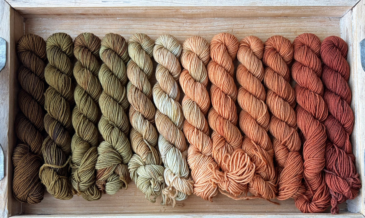 12 Skein Mini Yarn Fade - Squishy Sock Base