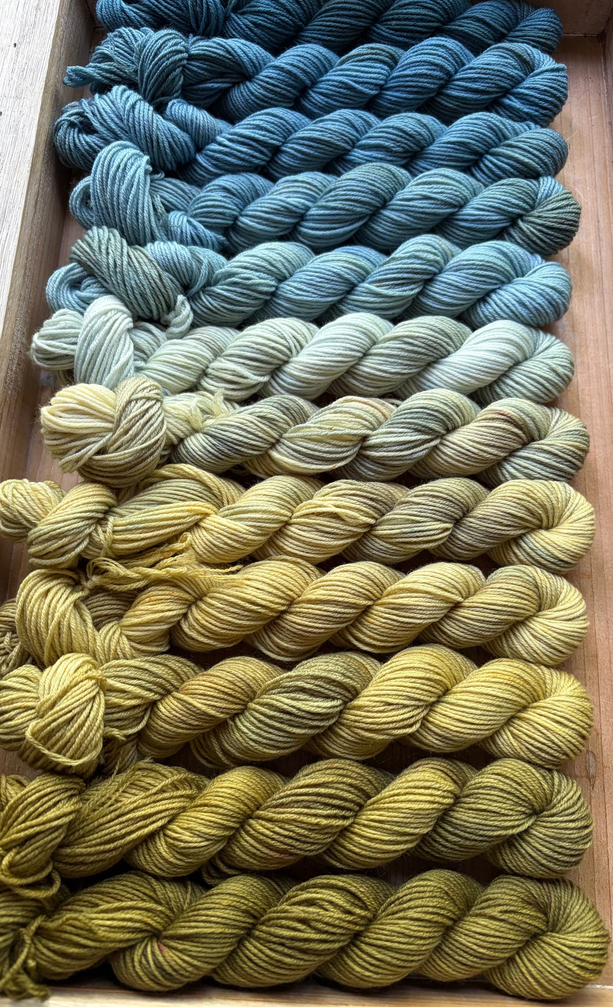 12 Skein Mini Yarn Fade - Squishy Sock Base