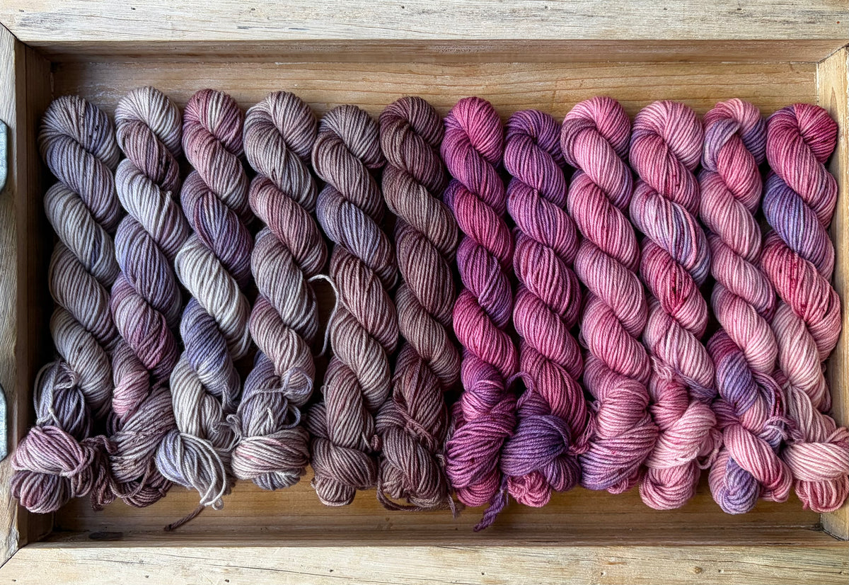 24 Skein Mini Yarn Fade - Squishy Sock Base