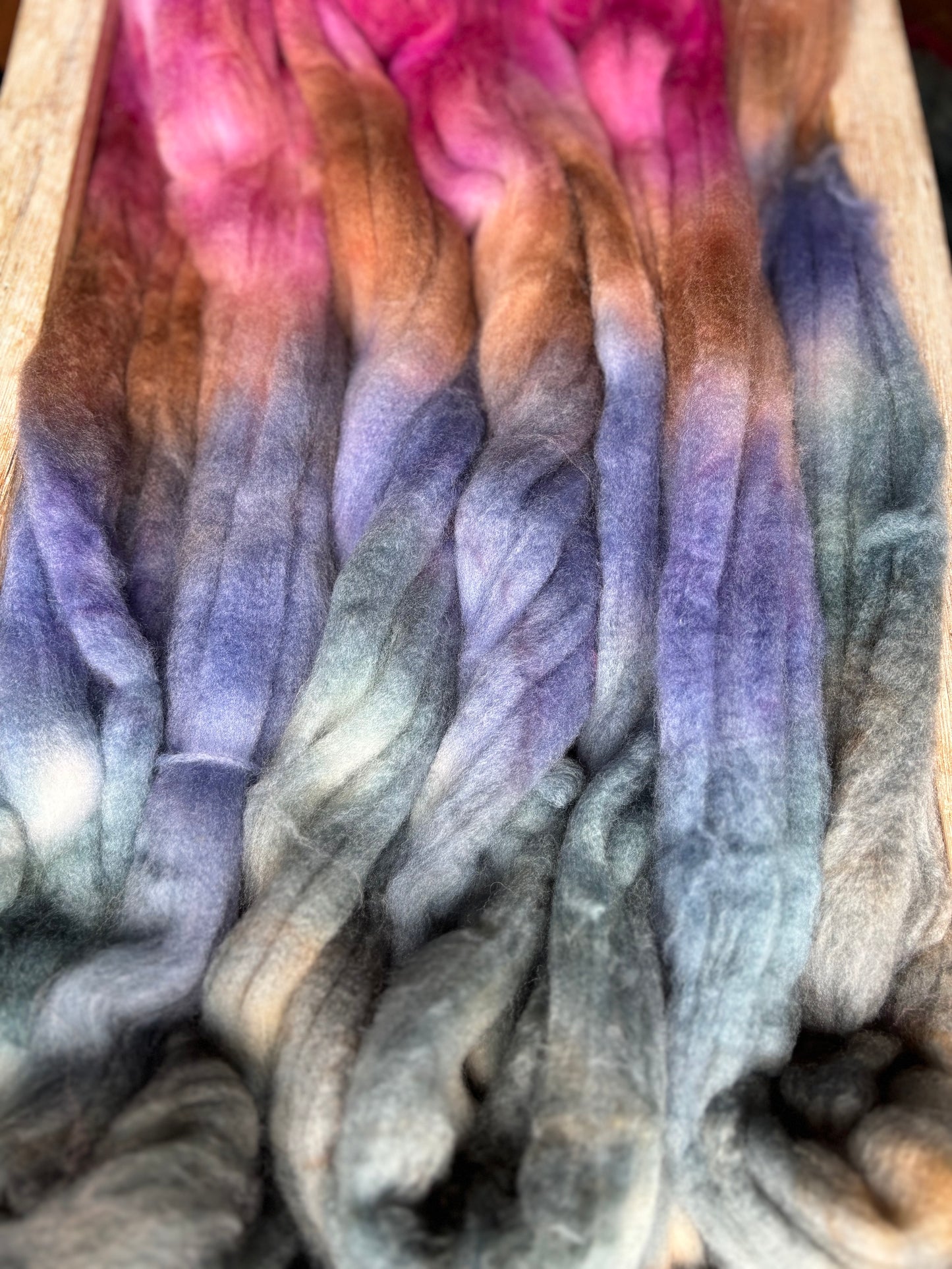 Fantasia - 100 grams of Spinning Fibre