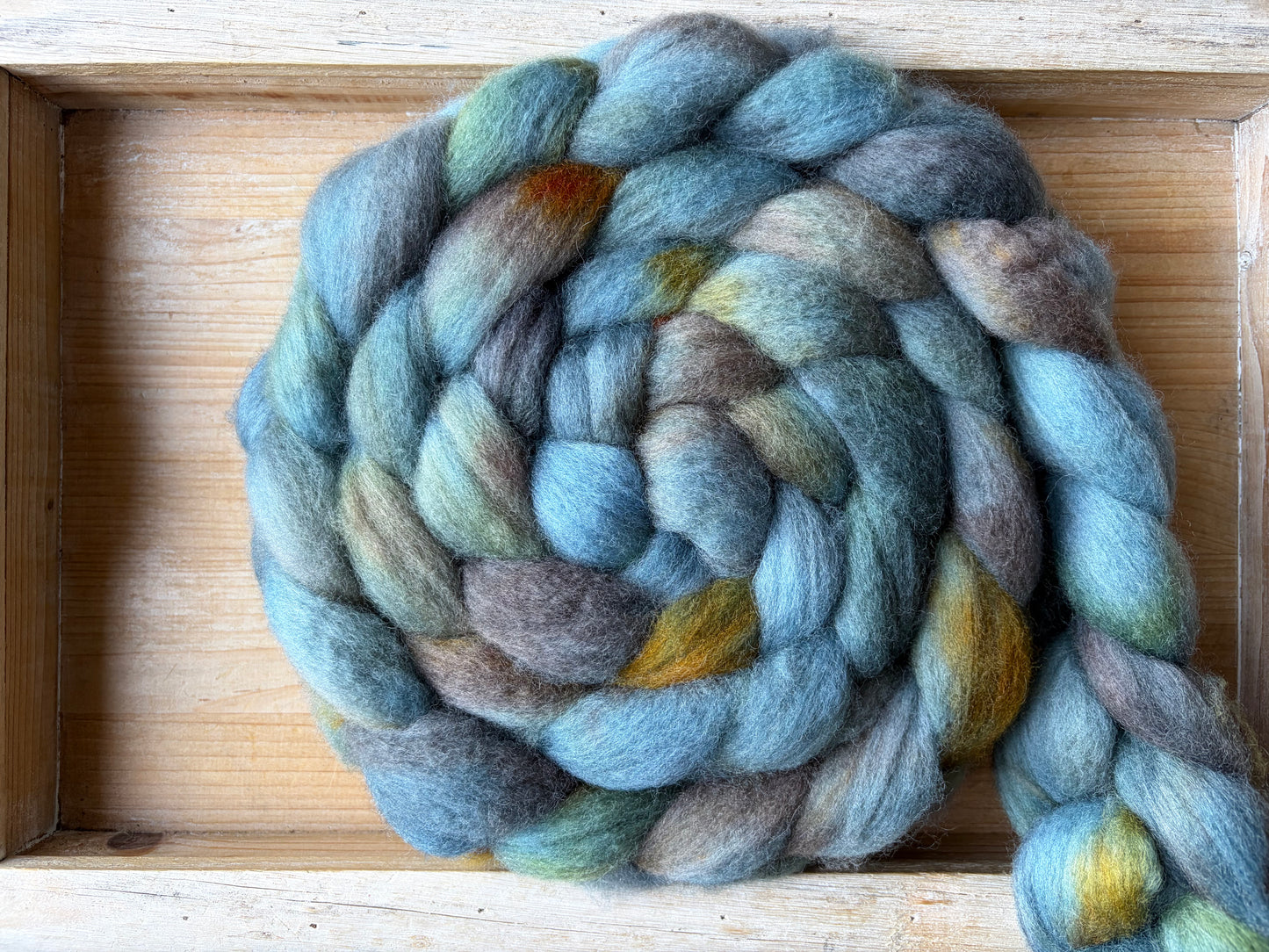 Bluefaced Leicester Wool - 26 Micron - One of a Kind Batch - 100 grams of Spinning Fibre - Hand Dyed Combed Top