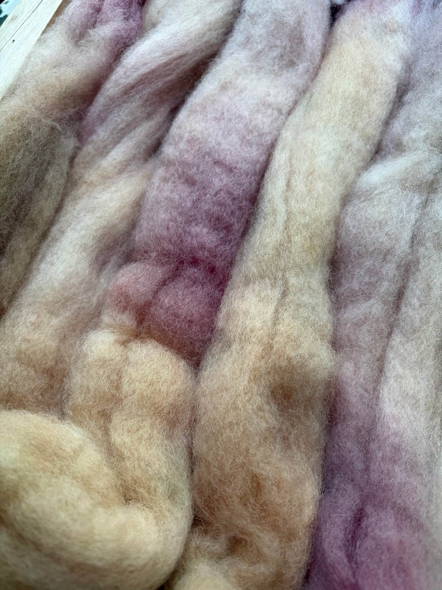 Bluefaced Leicester Wool - 26 Micron - One of a Kind Batch - 100 grams of Spinning Fibre - Hand Dyed Combed Top