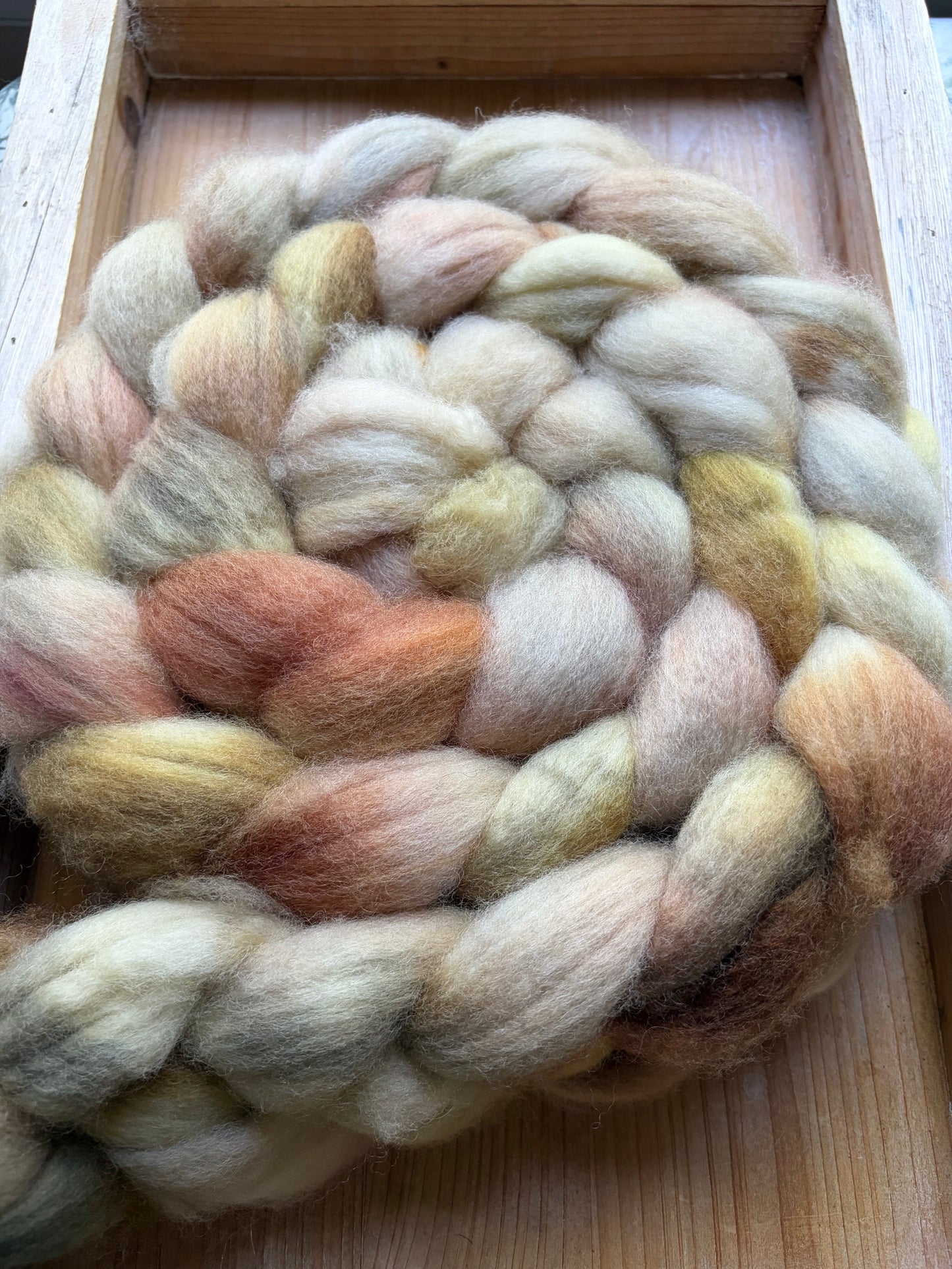 Bluefaced Leicester Wool - 26 Micron - One of a Kind Batch - 100 grams of Spinning Fibre - Hand Dyed Combed Top