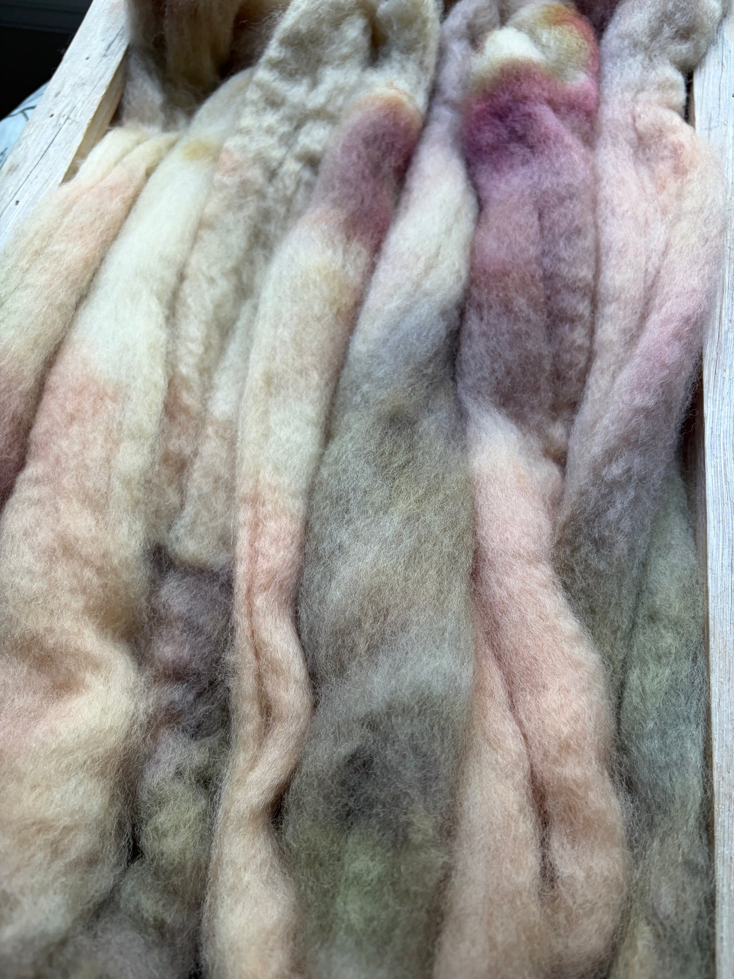 Bluefaced Leicester Wool - 26 Micron - One of a Kind Batch - 100 grams of Spinning Fibre - Hand Dyed Combed Top