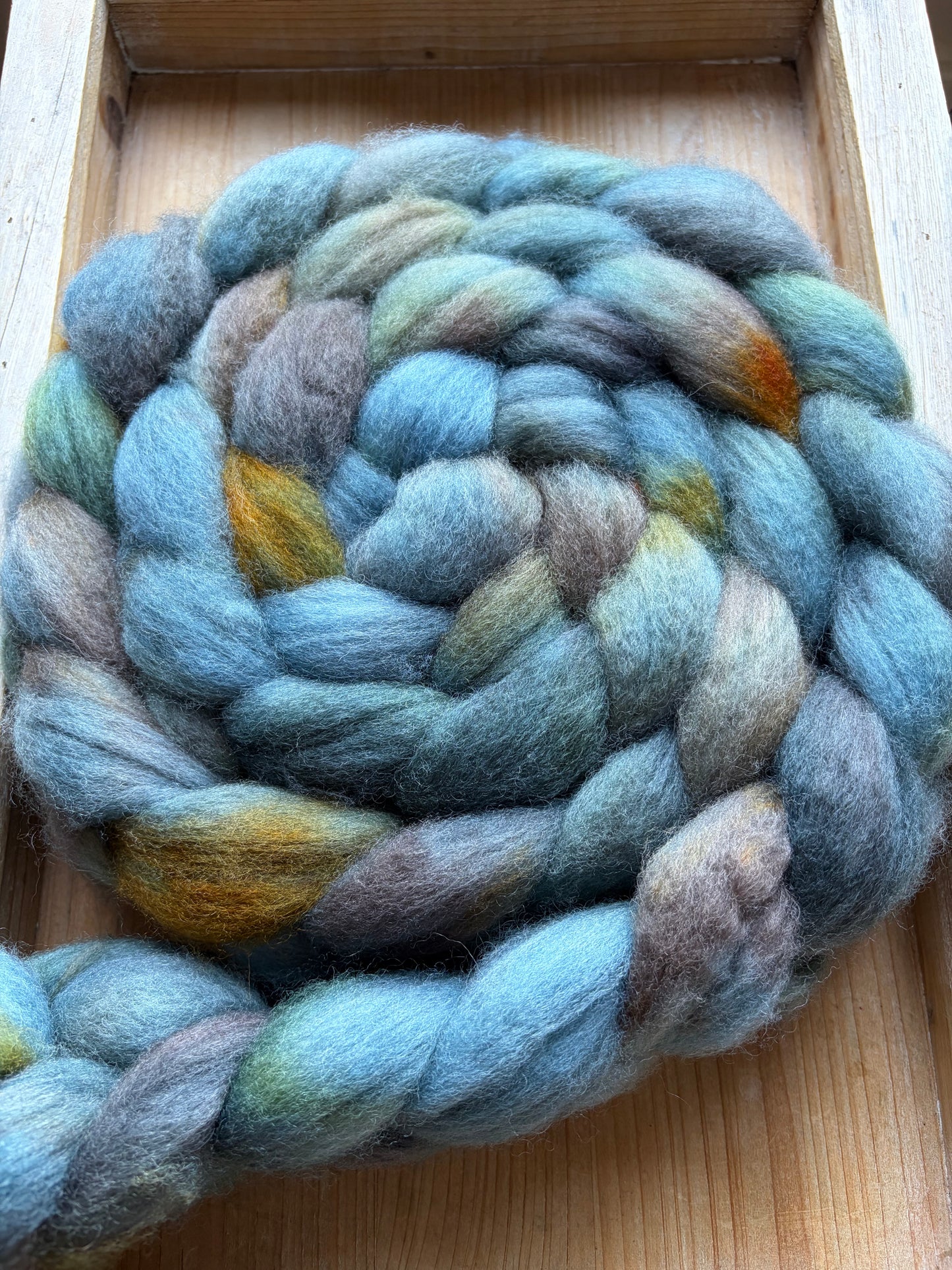 Bluefaced Leicester Wool - 26 Micron - One of a Kind Batch - 100 grams of Spinning Fibre - Hand Dyed Combed Top