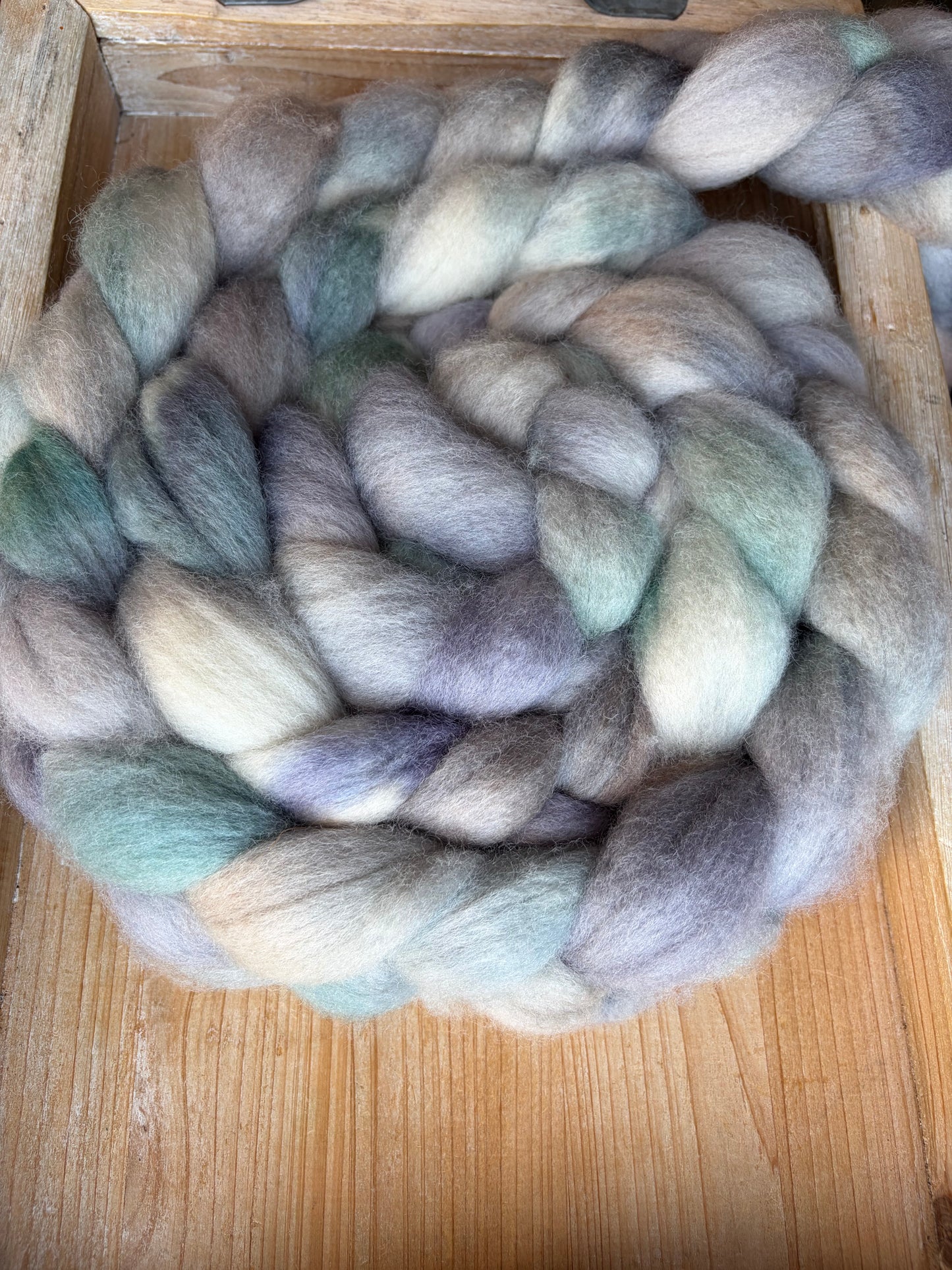 Bluefaced Leicester Wool - 26 Micron - One of a Kind Batch - 100 grams of Spinning Fibre - Hand Dyed Combed Top