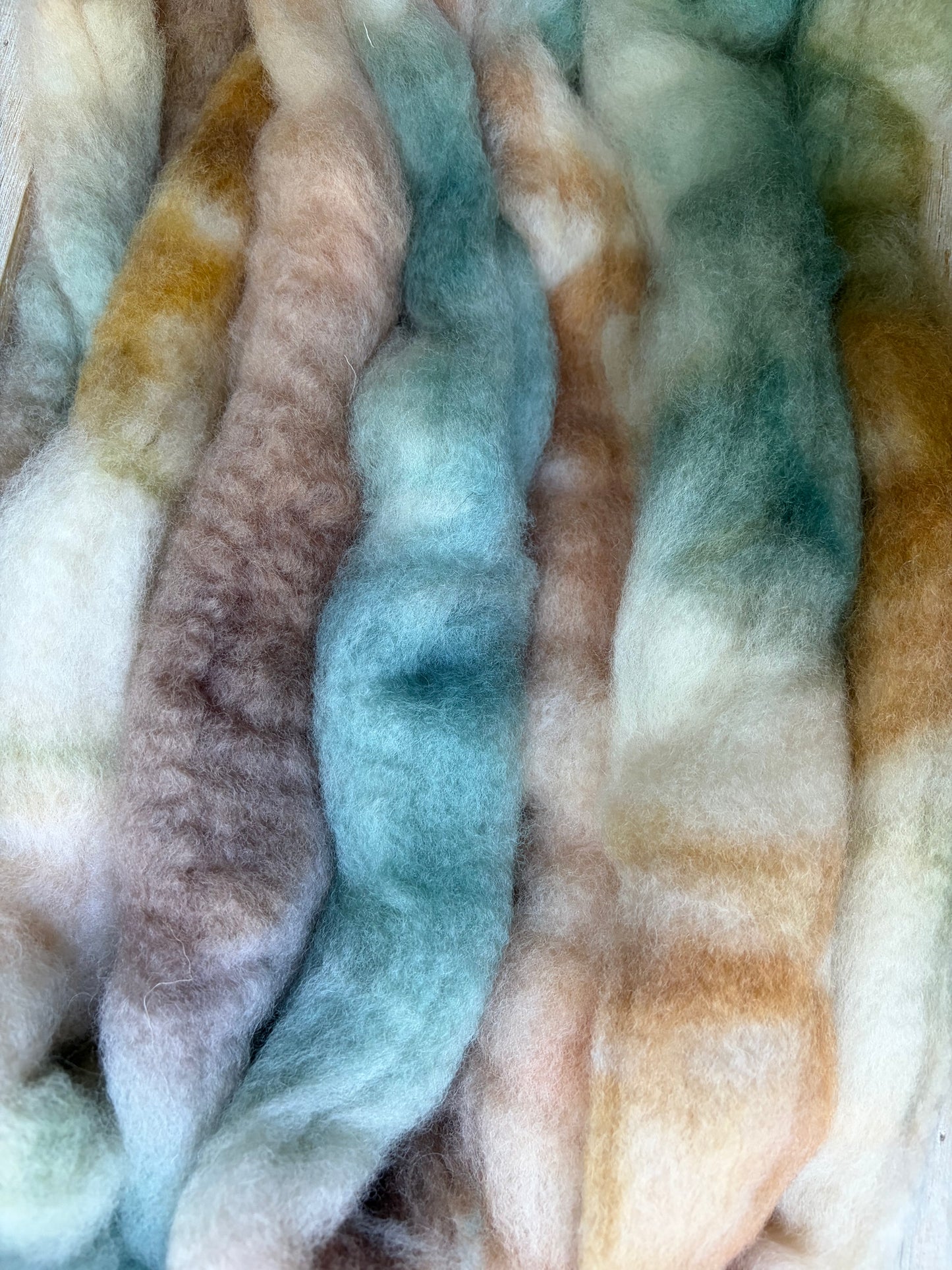 Bluefaced Leicester Wool - 26 Micron - One of a Kind Batch - 100 grams of Spinning Fibre - Hand Dyed Combed Top