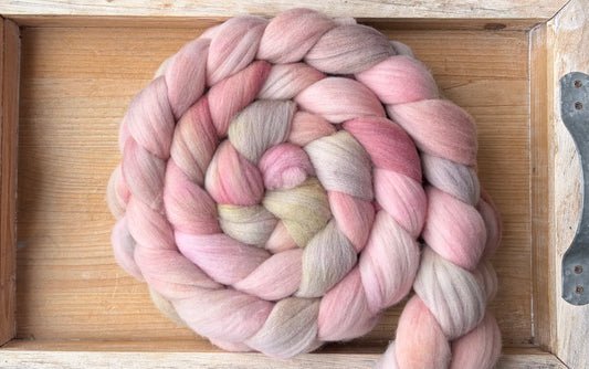 Targhee - 23 Micron - One of a Kind Batch - 100 grams of Spinning Fibre - Hand Dyed Combed Top