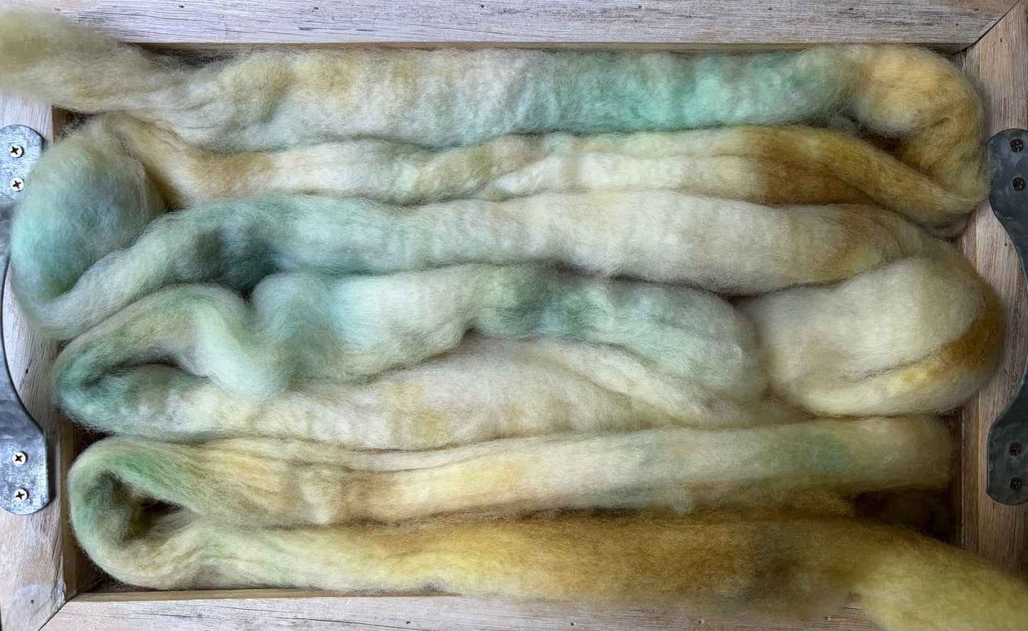 Bluefaced Leicester Wool - 26 Micron - One of a Kind Batch - 100 grams of Spinning Fibre - Hand Dyed Combed Top