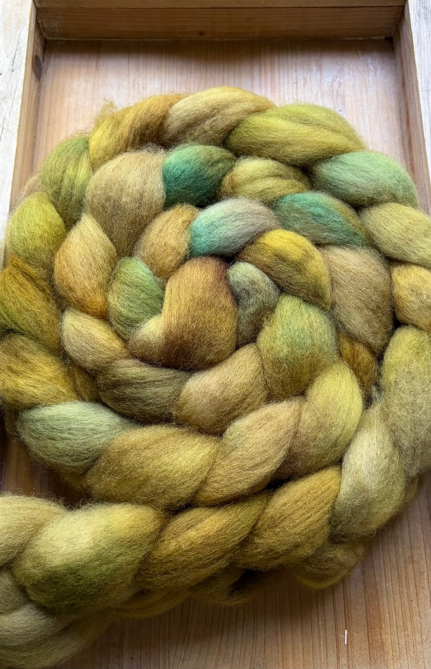 Bluefaced Leicester Wool - 26 Micron - One of a Kind Batch - 100 grams of Spinning Fibre - Hand Dyed Combed Top