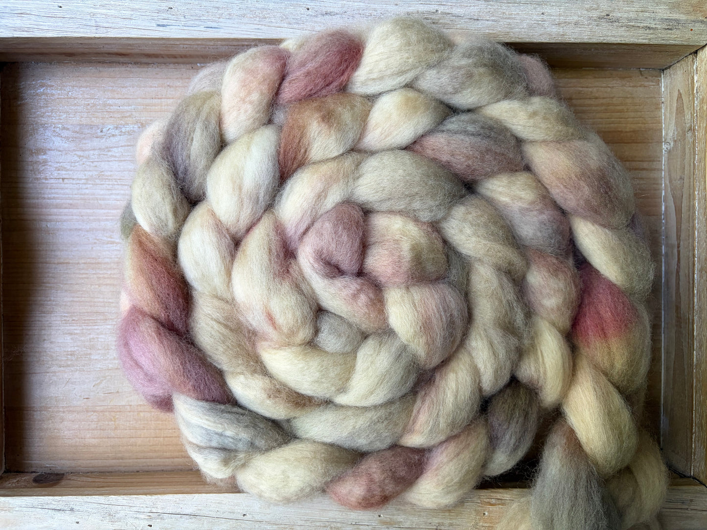 Bluefaced Leicester Wool - 26 Micron - One of a Kind Batch - 100 grams of Spinning Fibre - Hand Dyed Combed Top