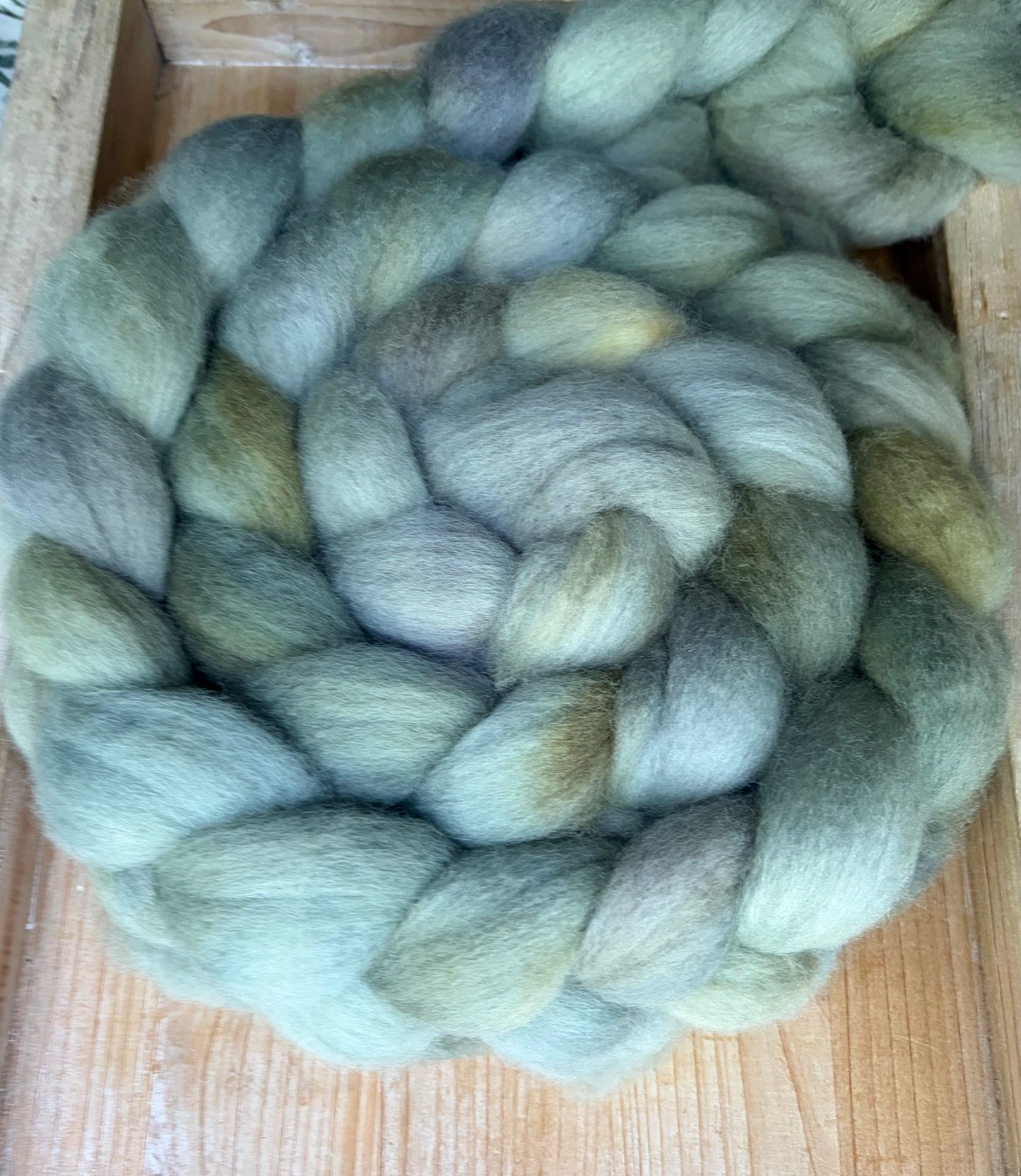 Bluefaced Leicester Wool - 26 Micron - One of a Kind Batch - 100 grams of Spinning Fibre - Hand Dyed Combed Top