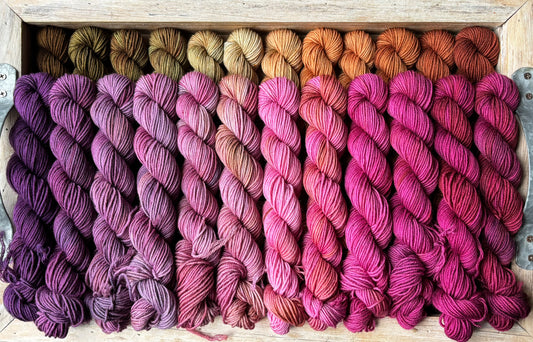 24 Skein Mini Yarn Fade - Squishy Sock Base