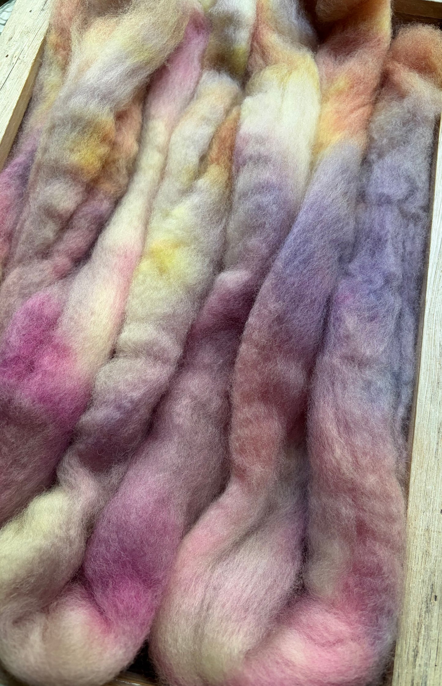 Bluefaced Leicester Wool - 26 Micron - One of a Kind Batch - 100 grams of Spinning Fibre - Hand Dyed Combed Top