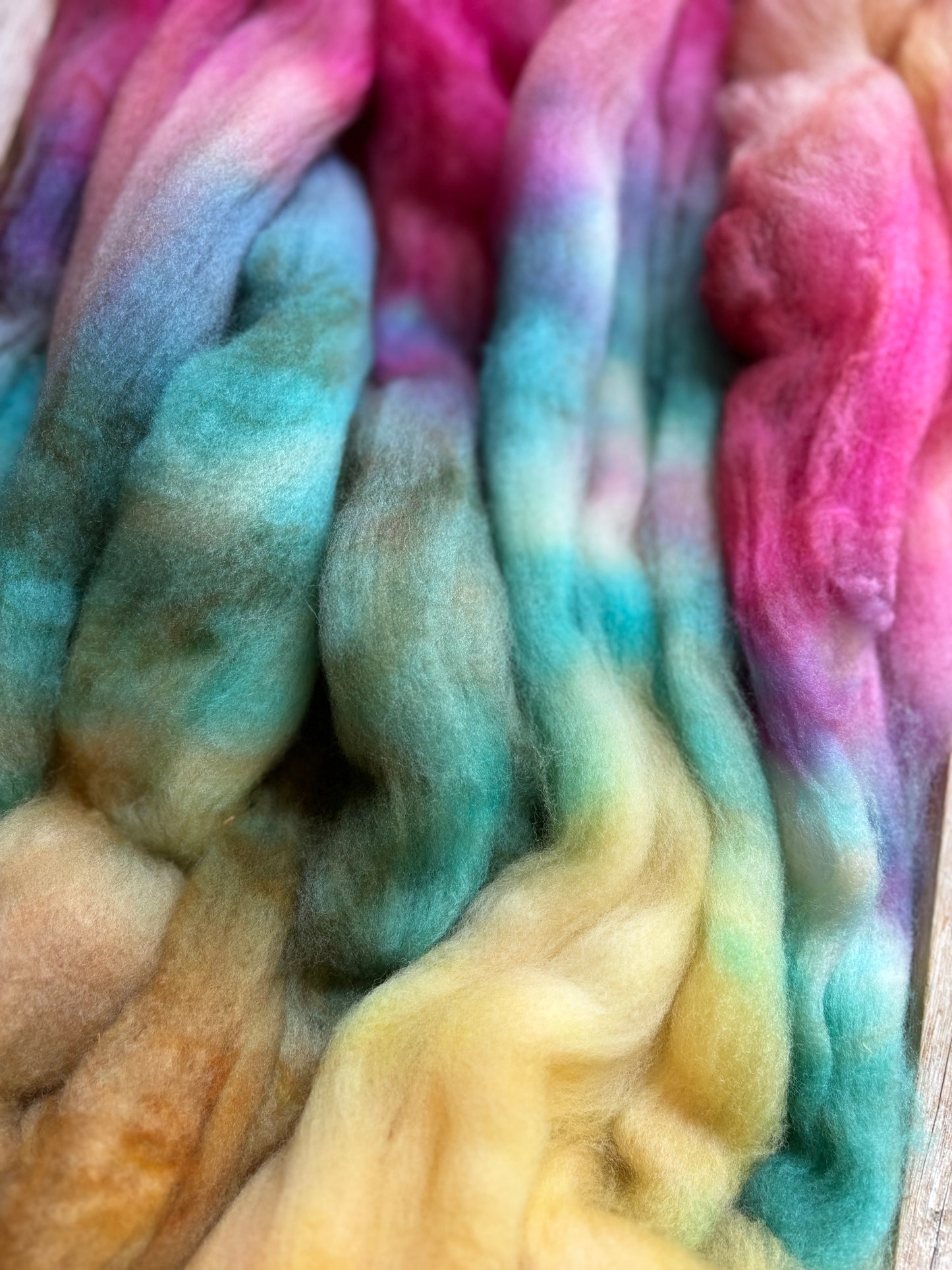 Frolic - 100 grams of Spinning Fibre