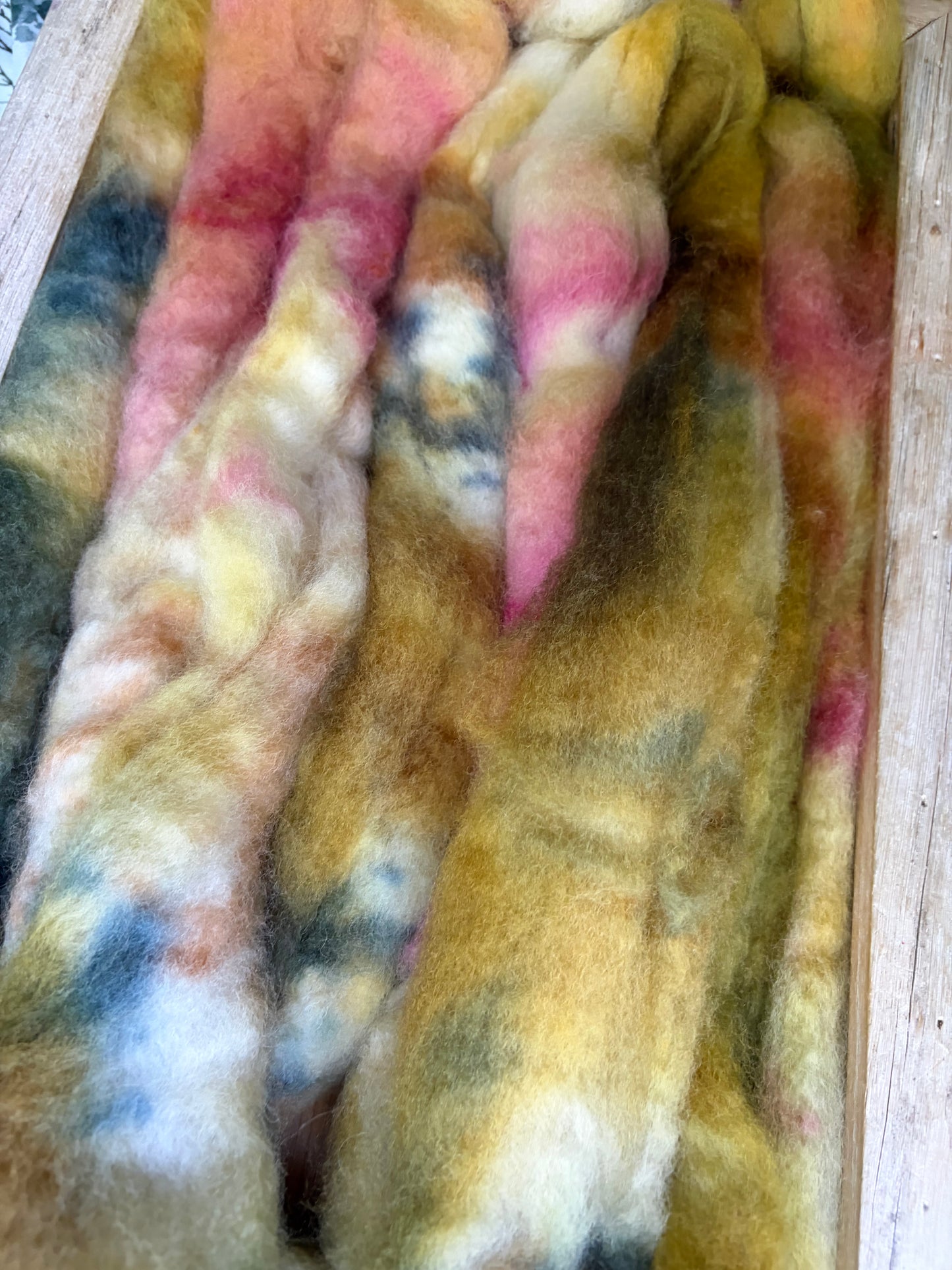 Bluefaced Leicester Wool - 26 Micron - One of a Kind Batch - 100 grams of Spinning Fibre - Hand Dyed Combed Top
