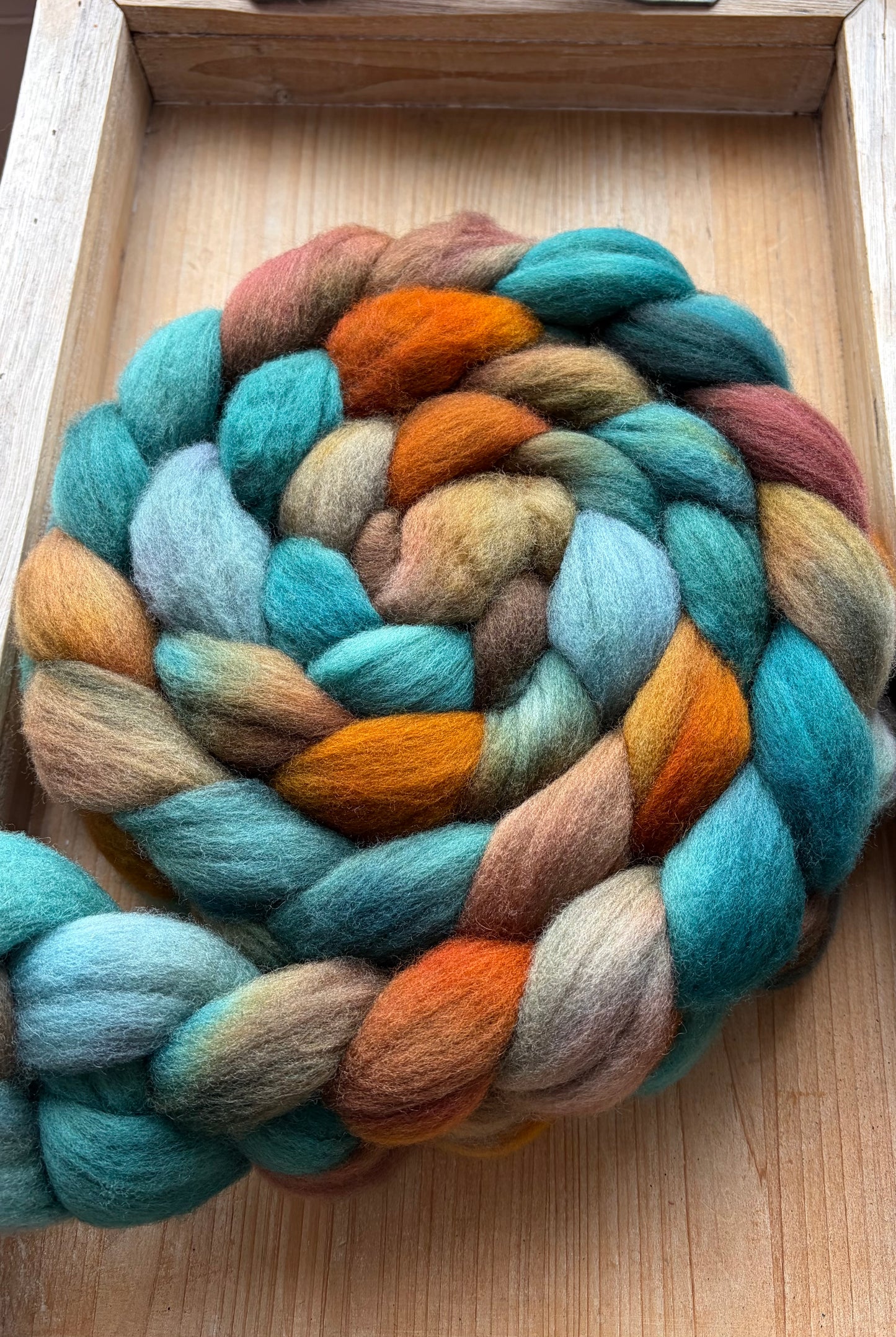 Polwarth - 22 Micron - One of a Kind Batch - 100 grams of Spinning Fibre - Hand Dyed Combed Top