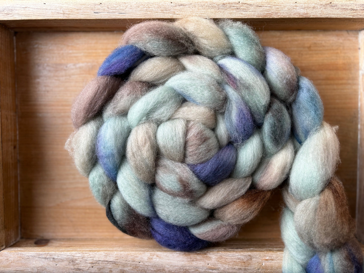 100 grams of Spinning Fibre - Bluefaced Leicester Wool - 26 Micron - Hand Dyed Combed T