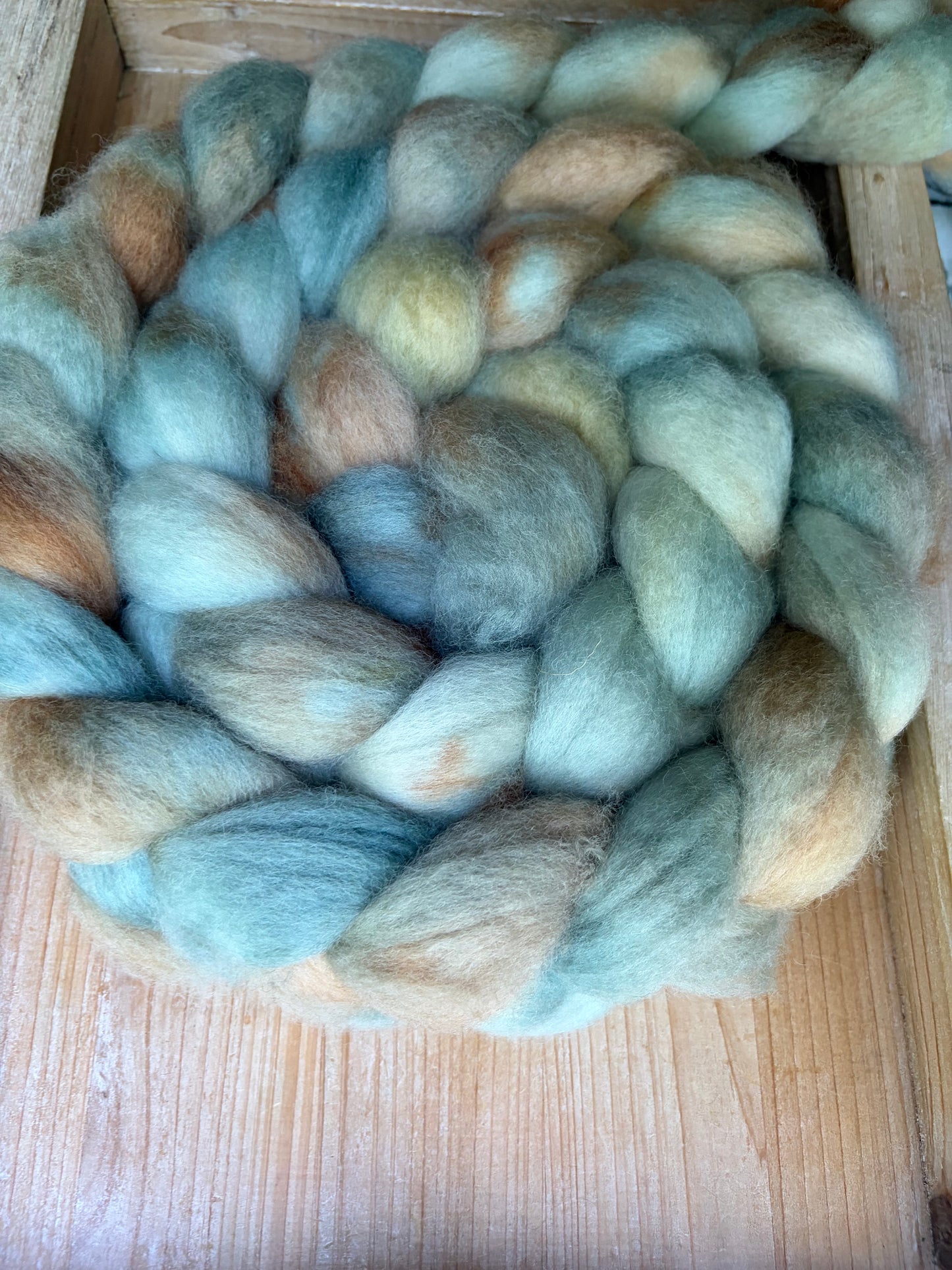 Bluefaced Leicester Wool - 26 Micron - One of a Kind Batch - 100 grams of Spinning Fibre - Hand Dyed Combed Top