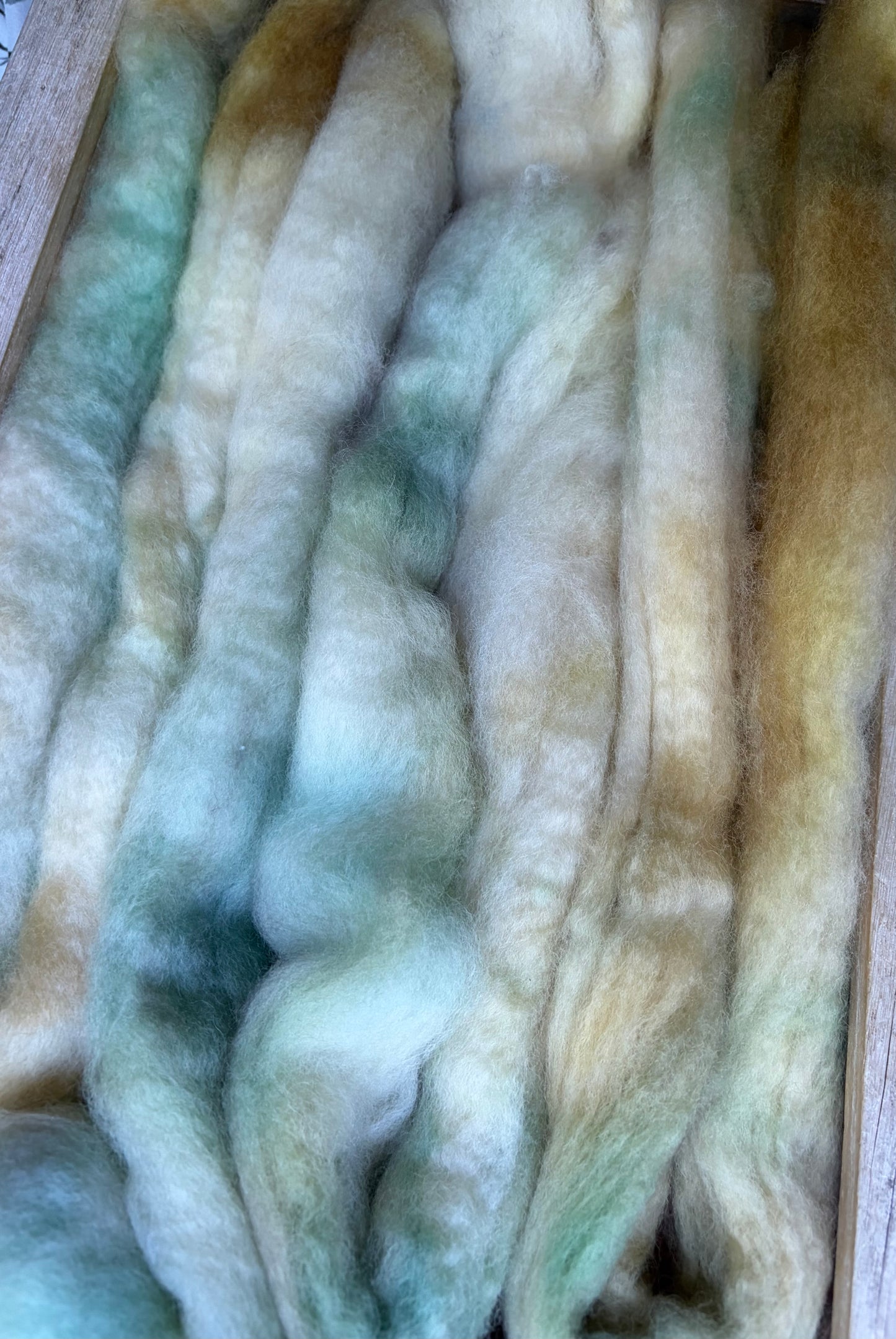 Bluefaced Leicester Wool - 26 Micron - One of a Kind Batch - 100 grams of Spinning Fibre - Hand Dyed Combed Top