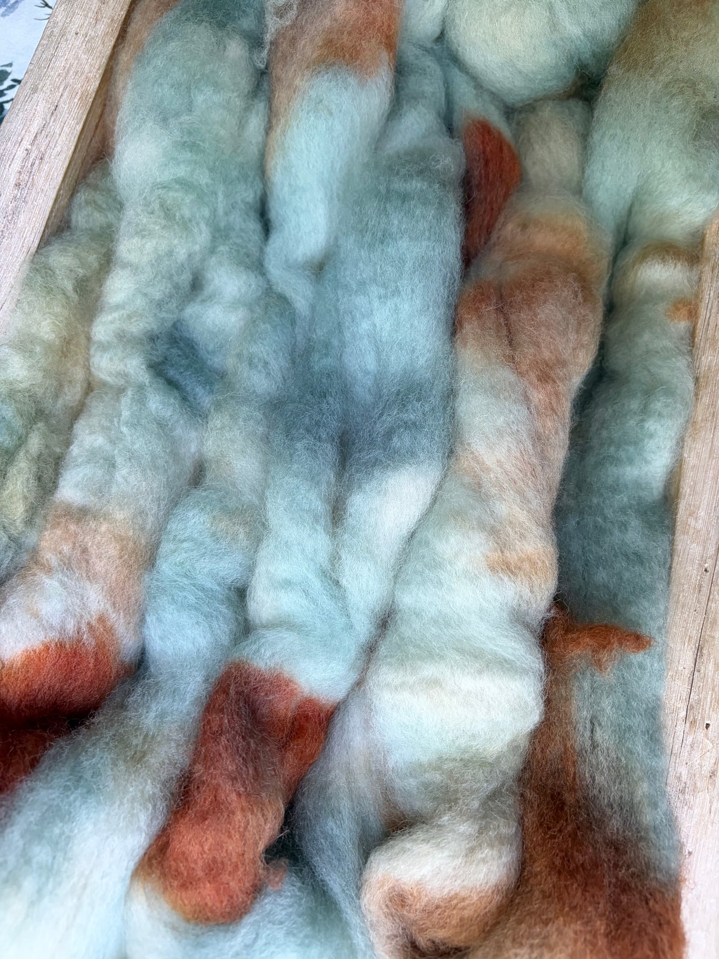 Bluefaced Leicester Wool - 26 Micron - One of a Kind Batch - 100 grams of Spinning Fibre - Hand Dyed Combed Top