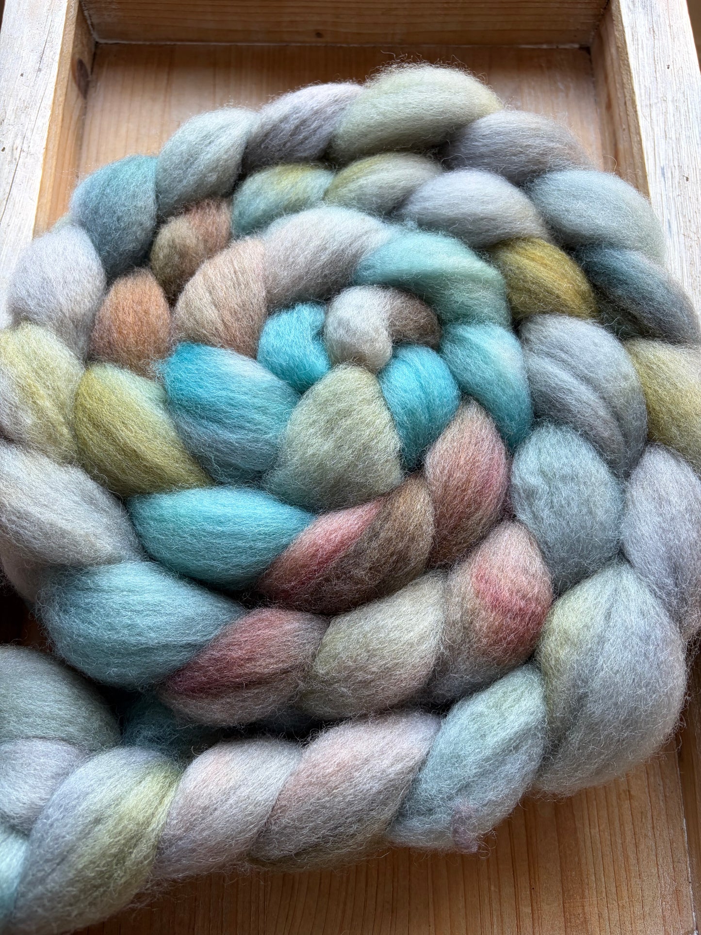Bluefaced Leicester Wool - 26 Micron - One of a Kind Batch - 100 grams of Spinning Fibre - Hand Dyed Combed Top
