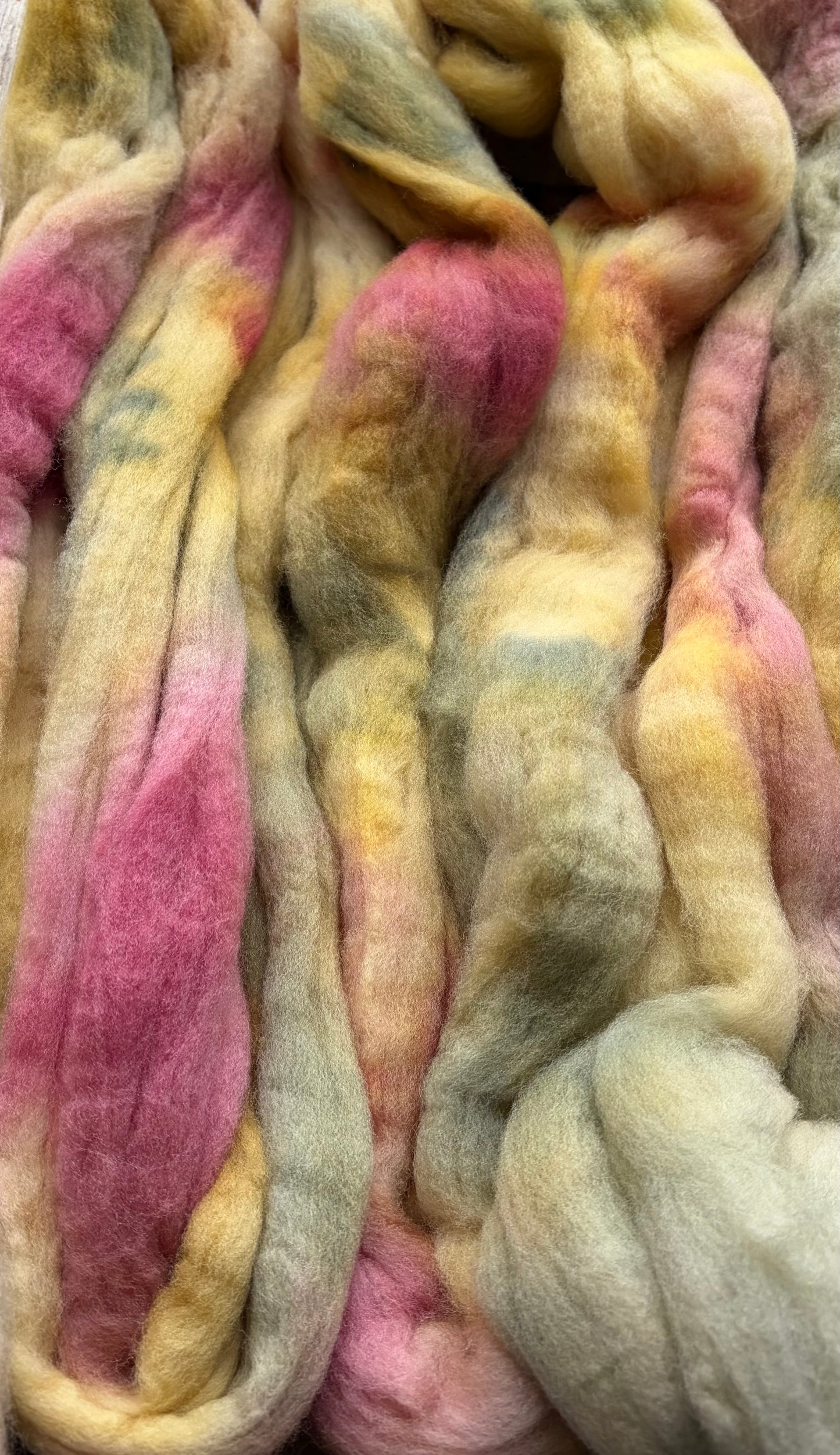 Targhee - 23 Micron - One of a Kind Batch - 100 grams of Spinning Fibre - Hand Dyed Combed Top